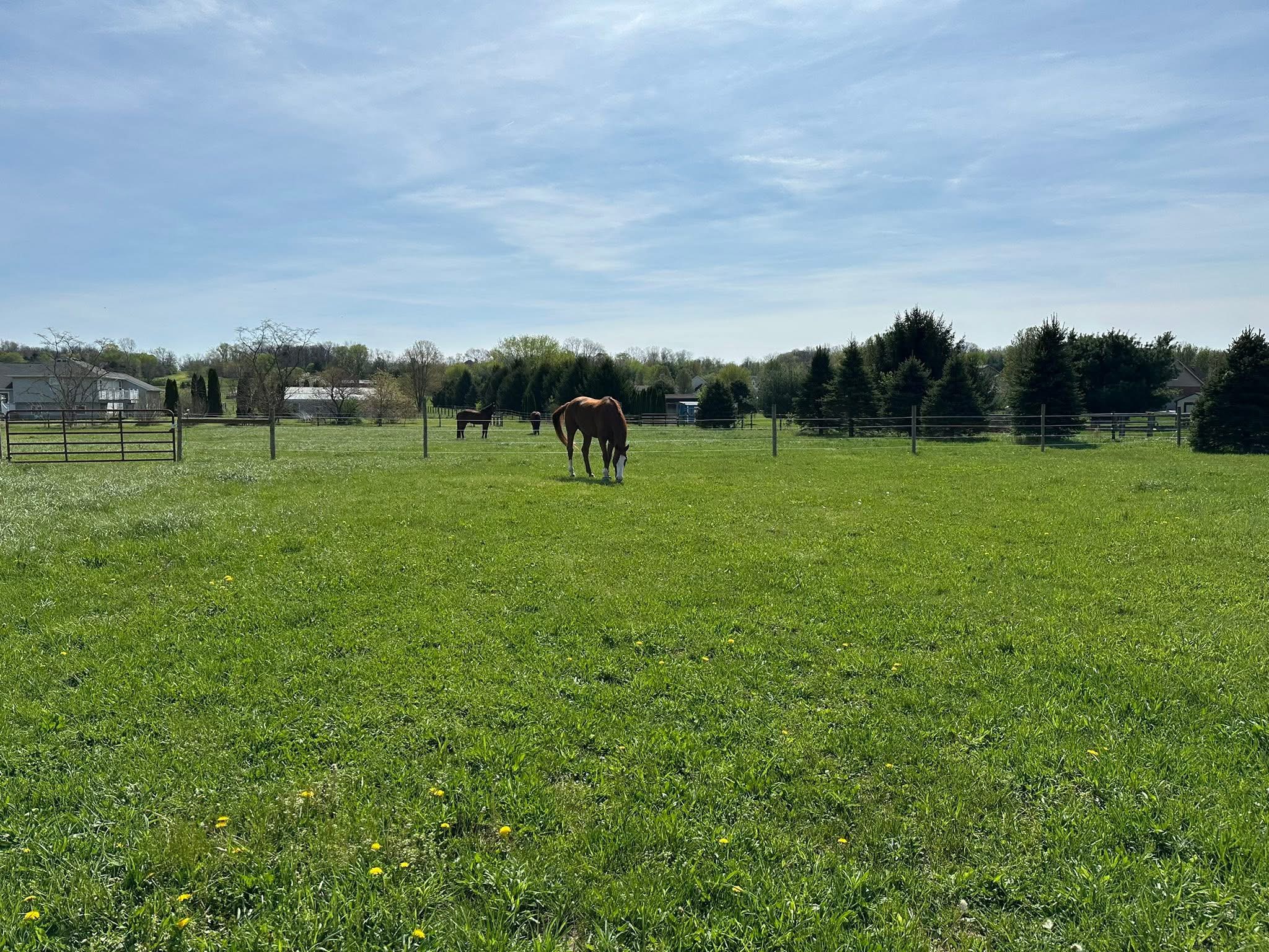 Pastures