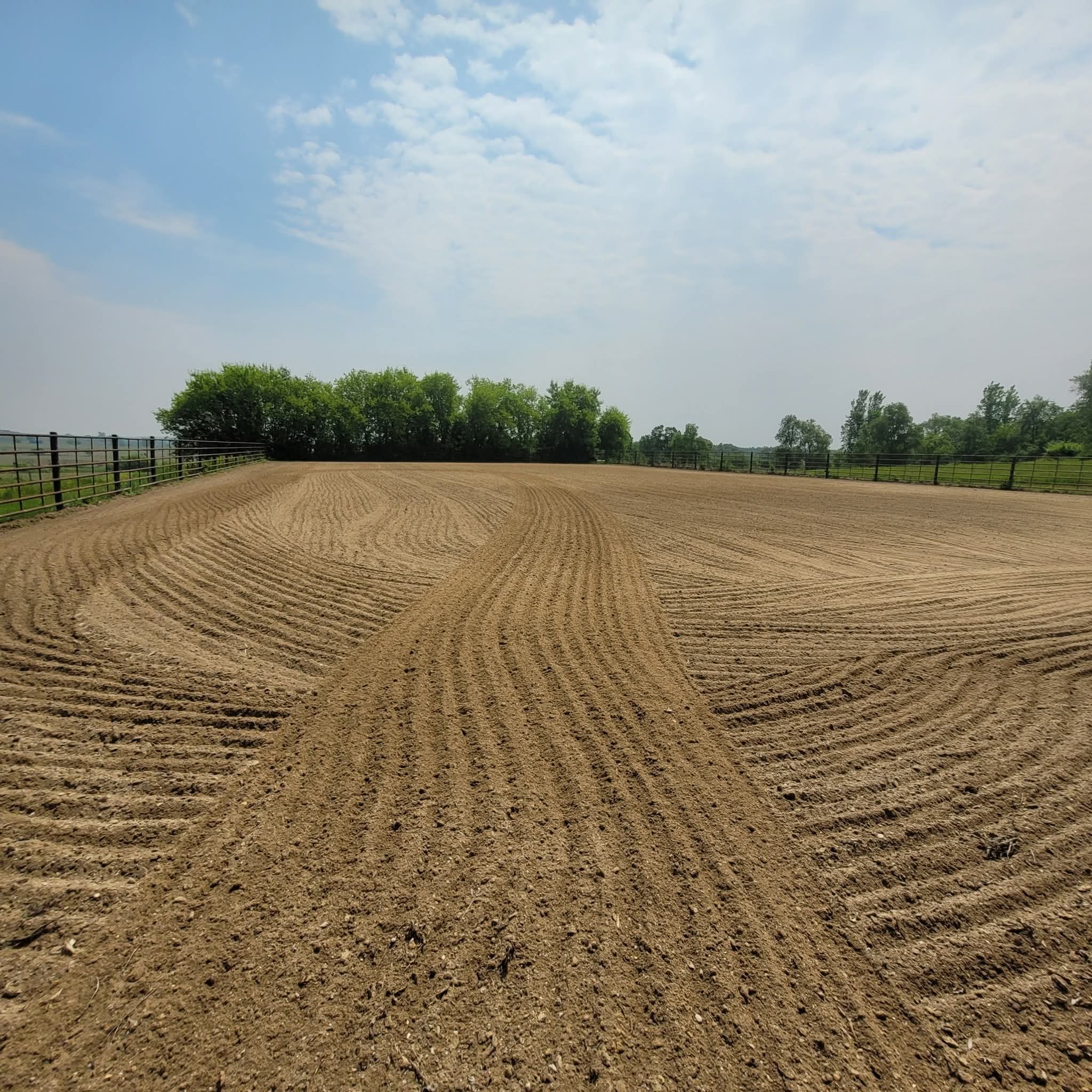 Lovely dragged arena!