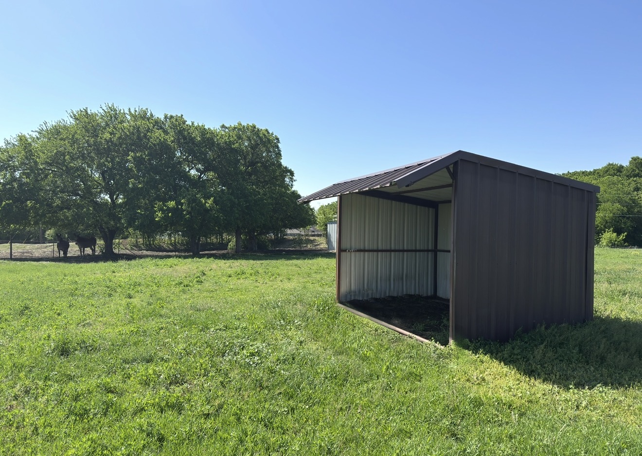 Loafing Sheds