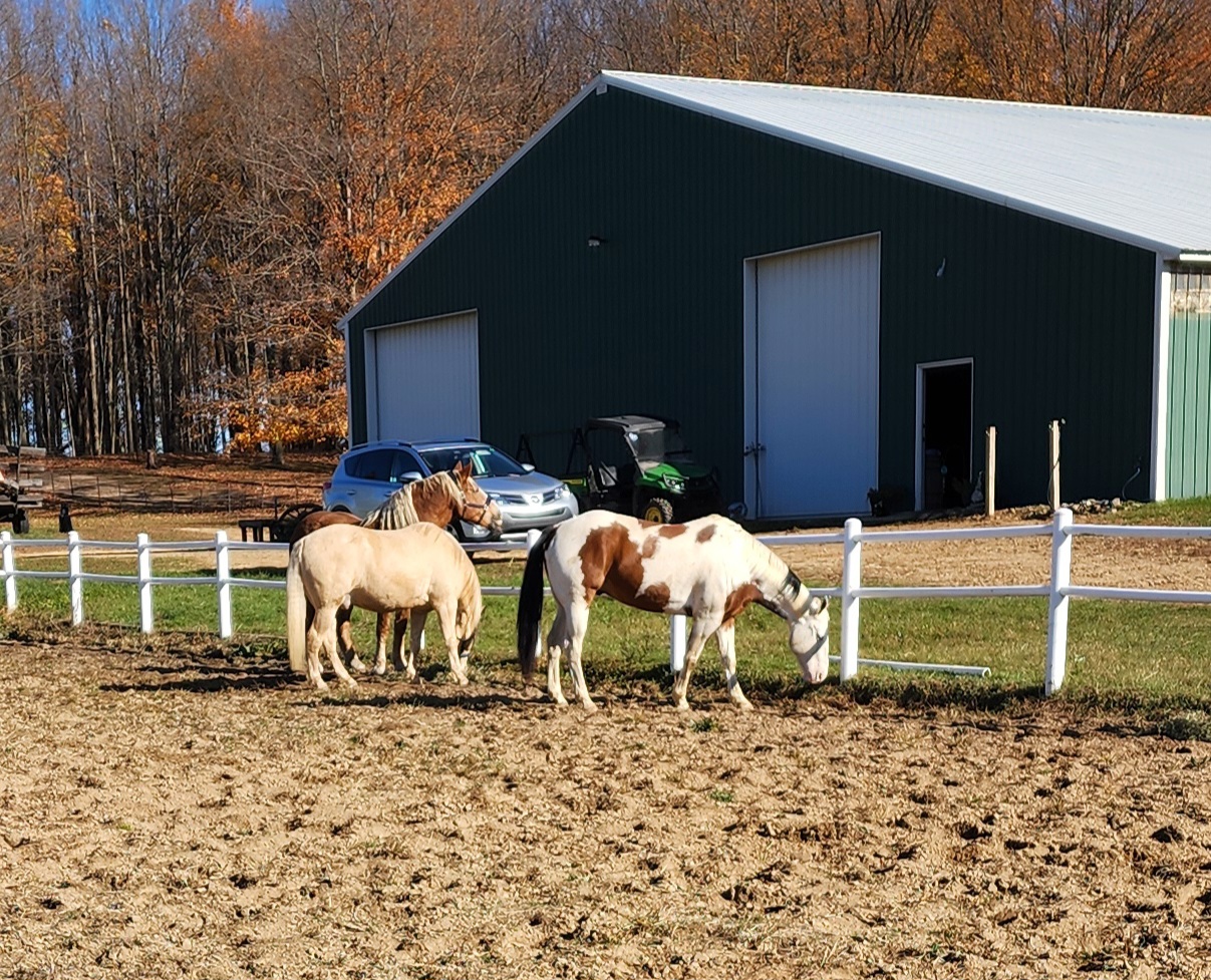 One of the dry lots for winter or a break from the grass