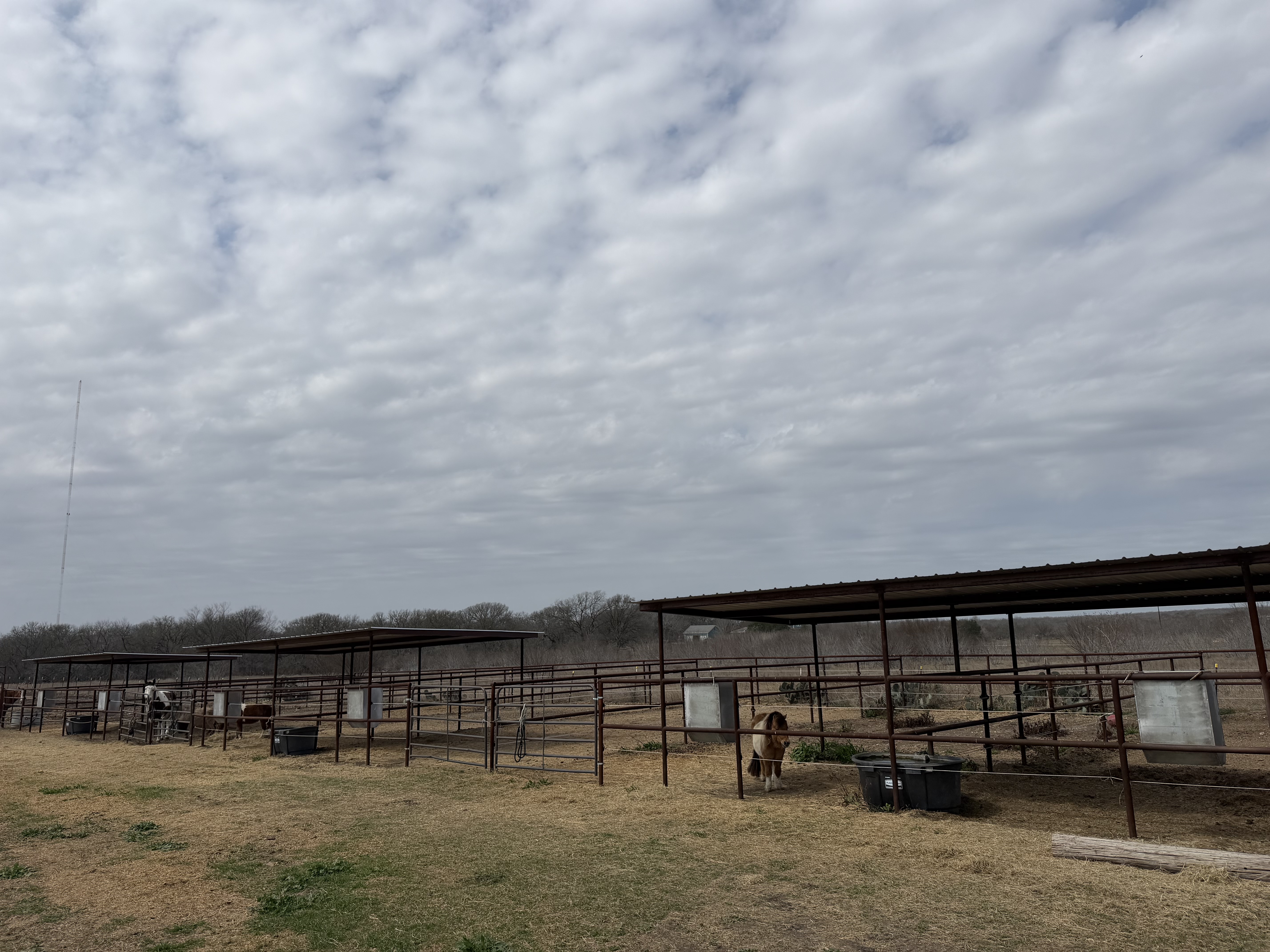 Paddocks