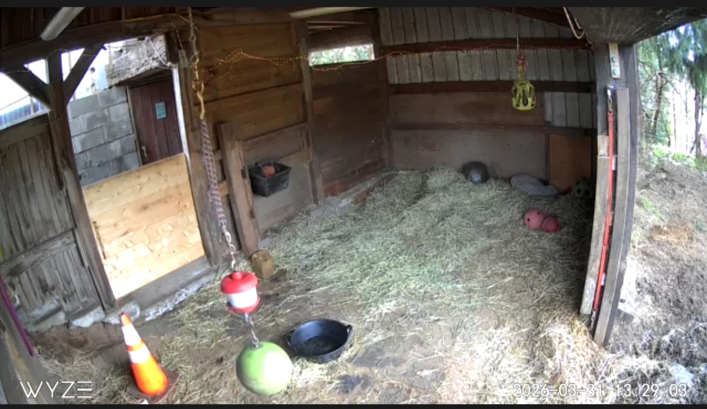 Camera view of the stall and door to tack room