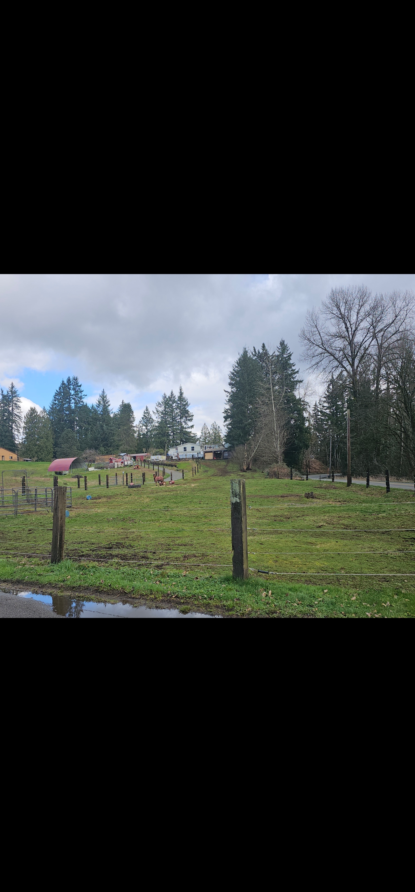 Pasture