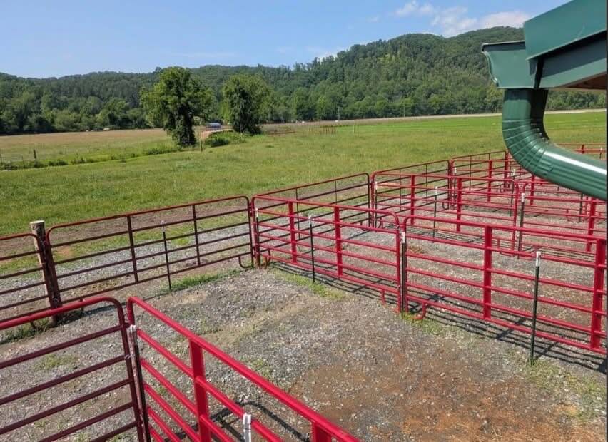 Run ins for stalls