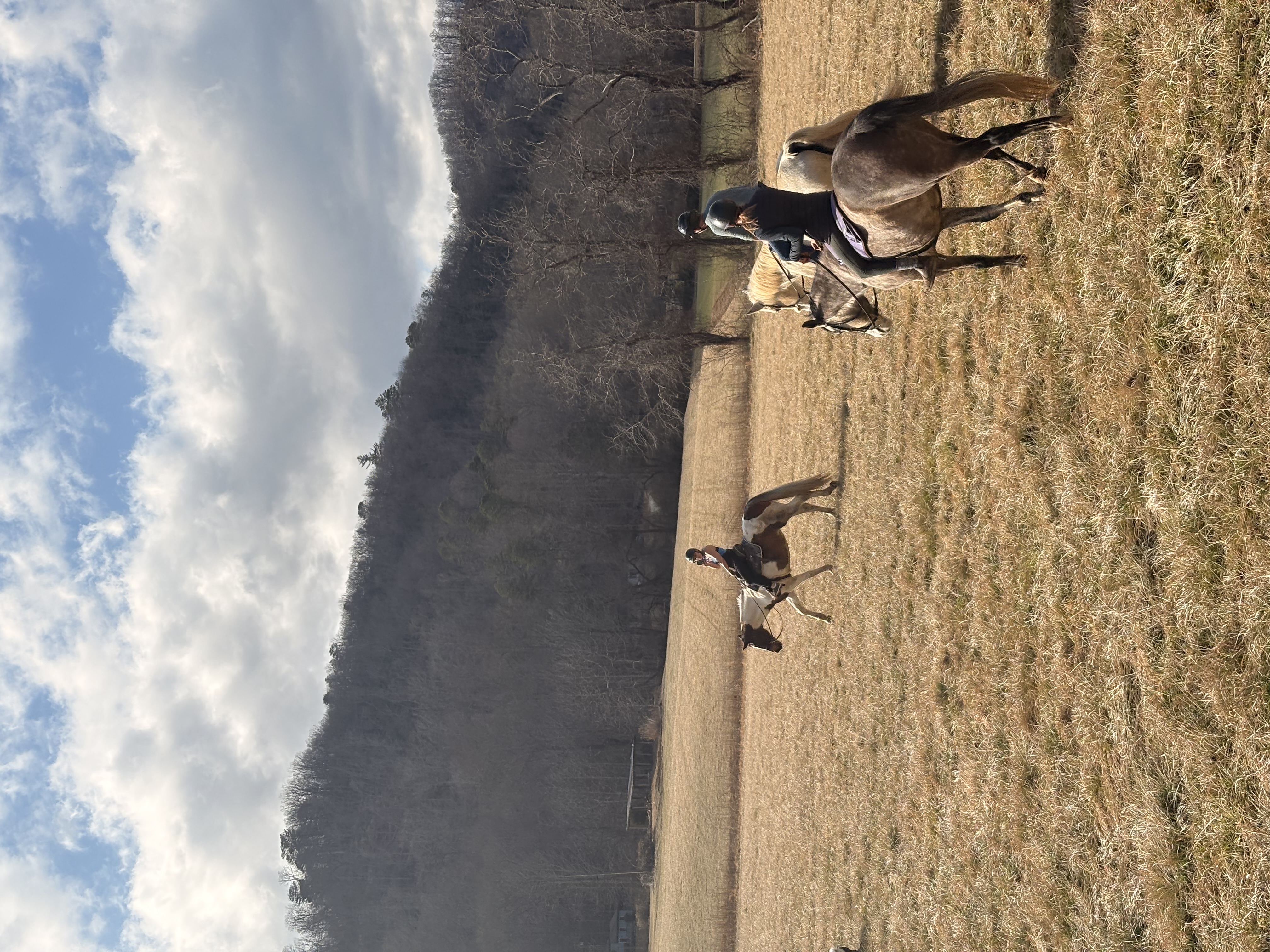 Trail rides