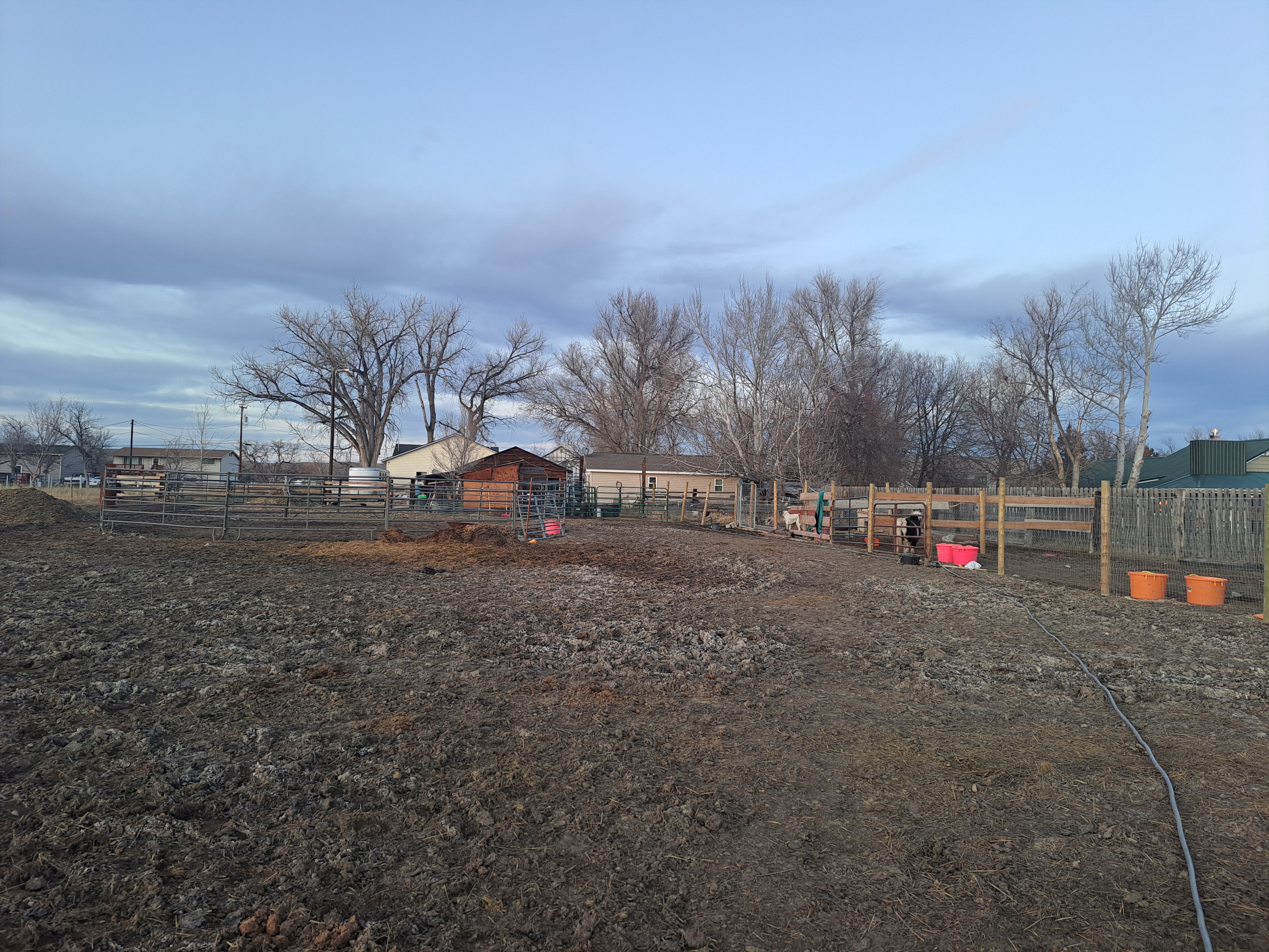 Outdoor paddocks and roundpen