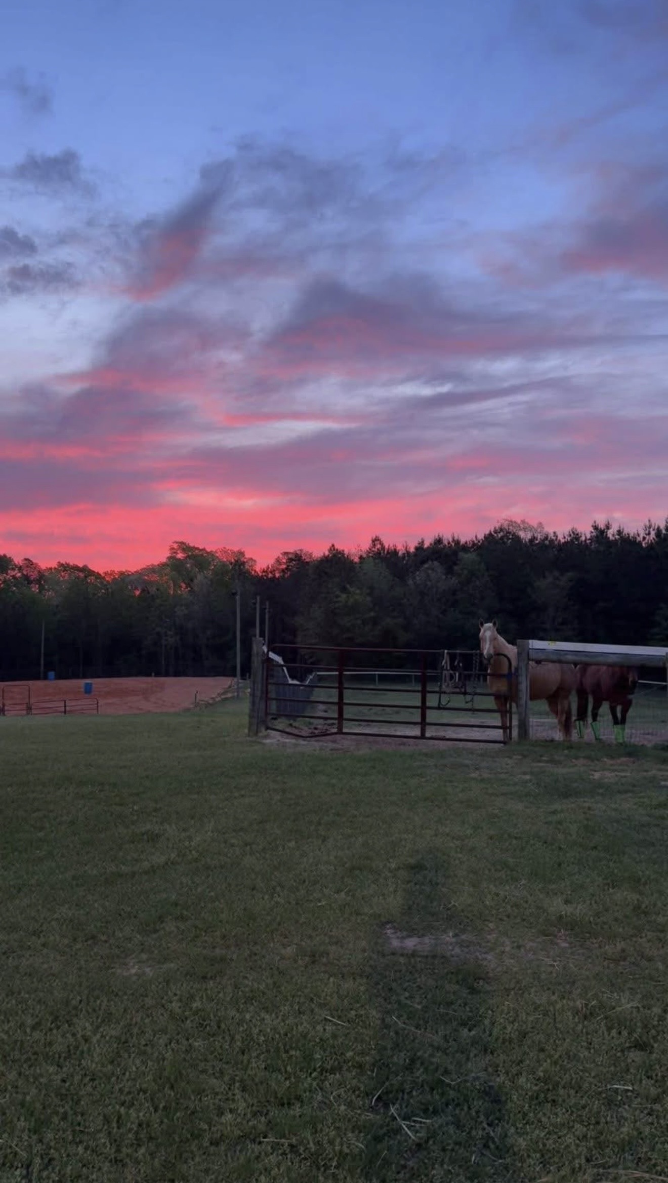 Pasture