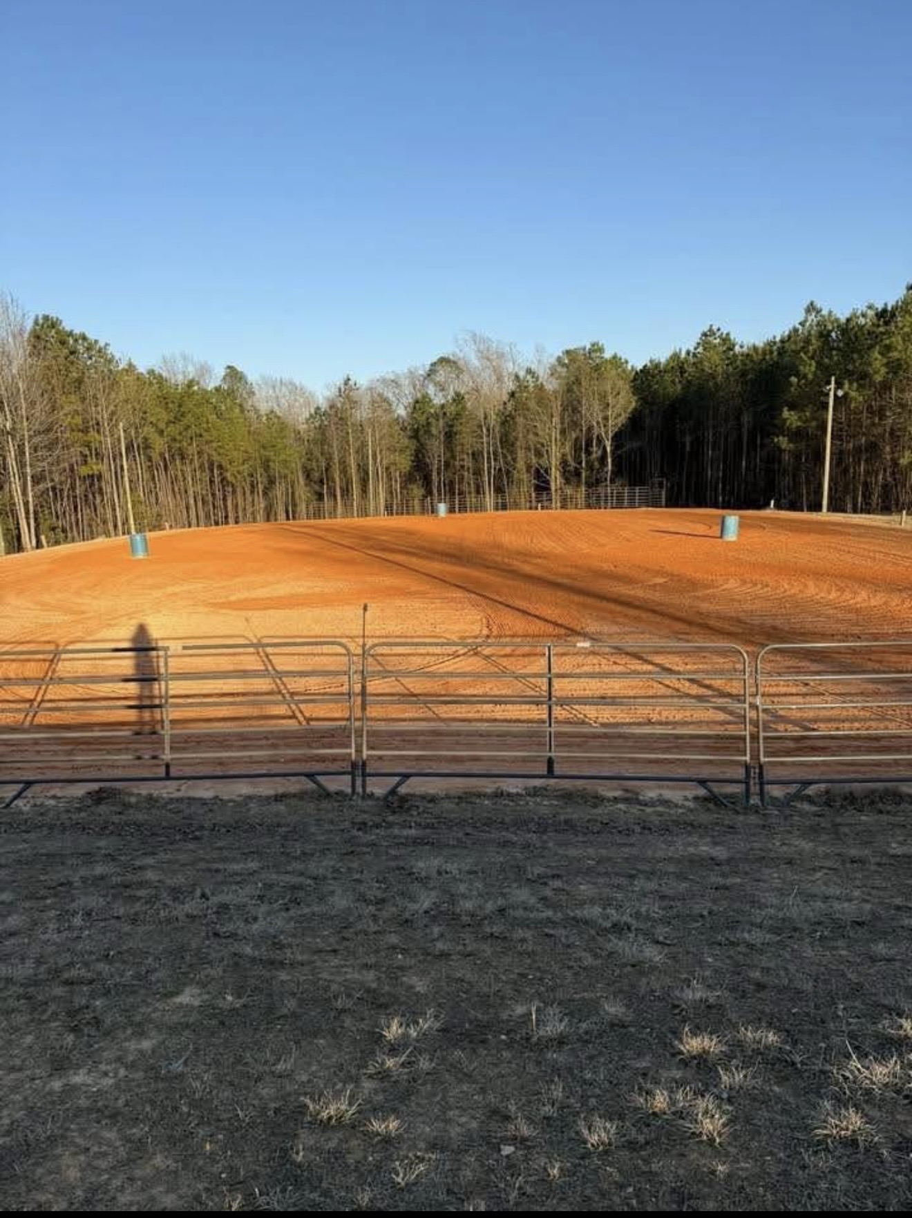 Arena