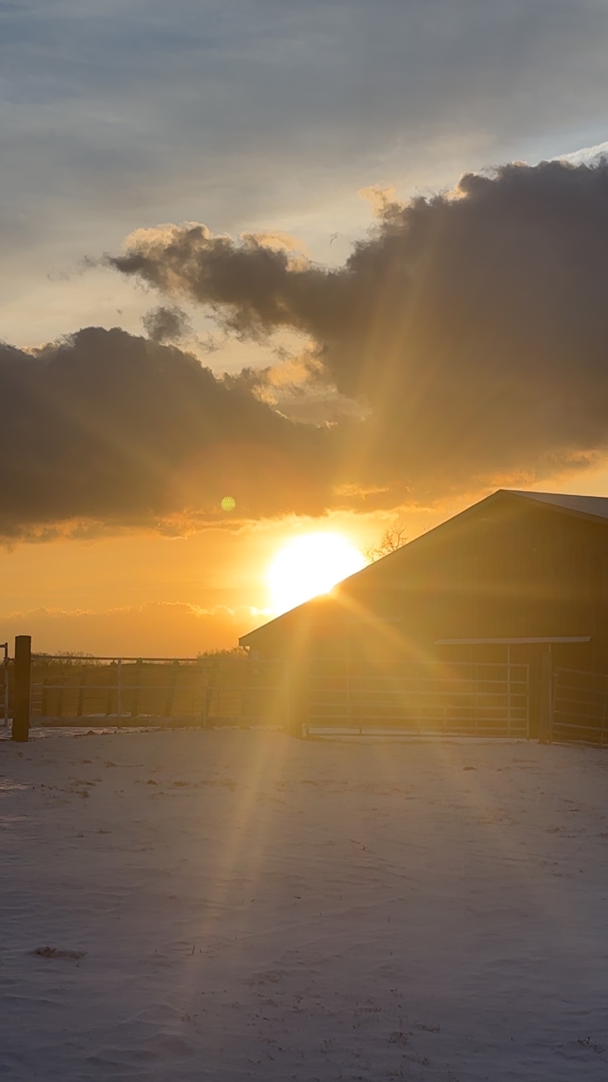 Barn