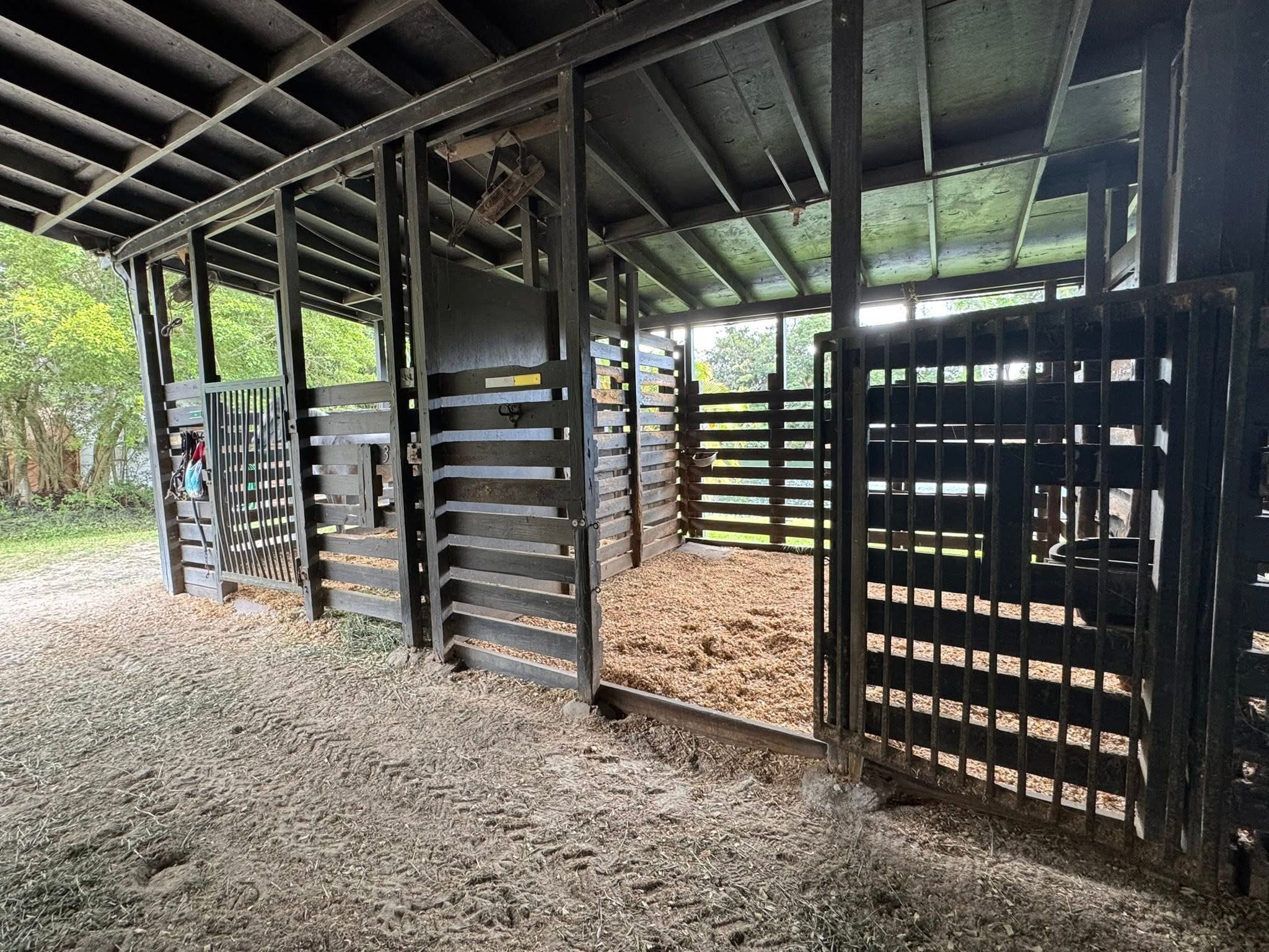 Stalls in main boarding barn