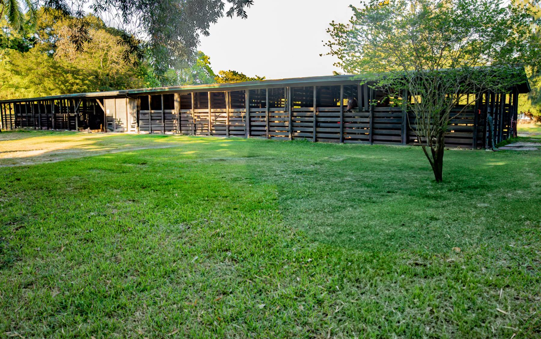 Main boarding barn