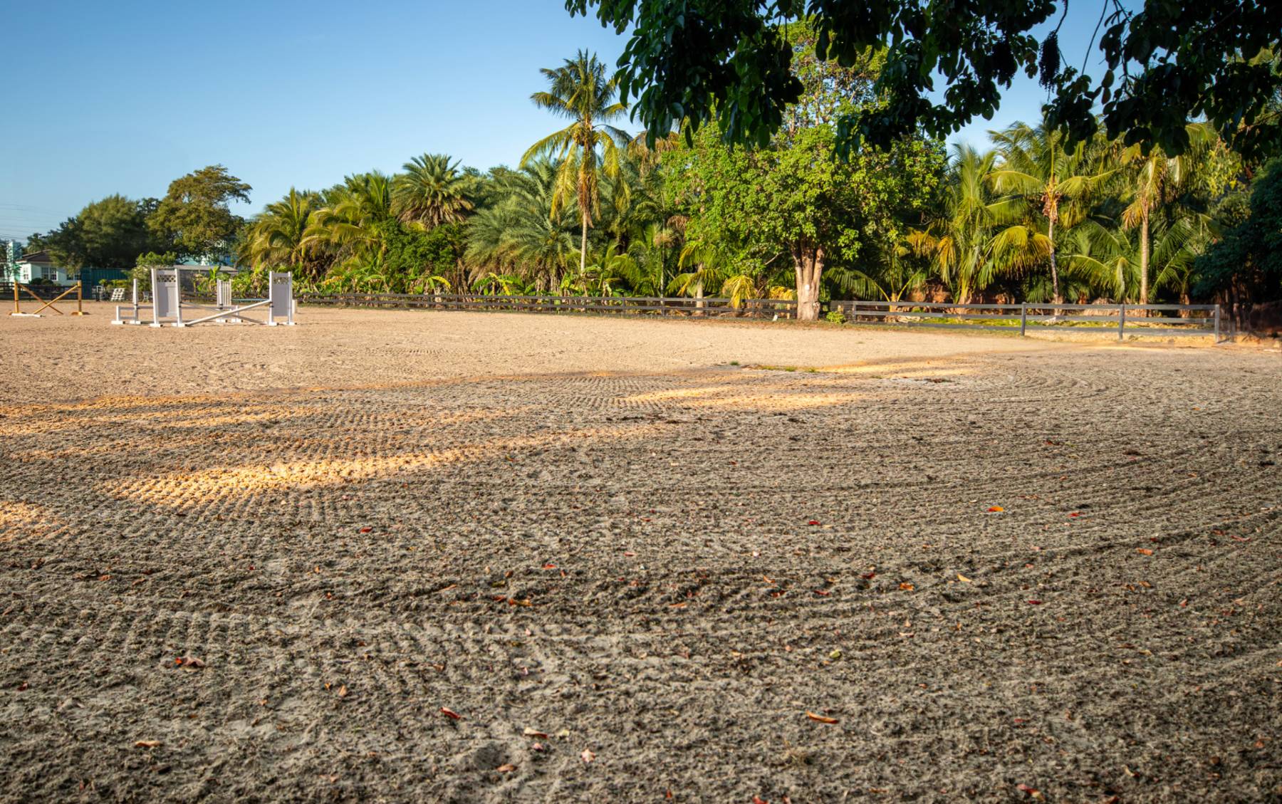 XL Jump arena