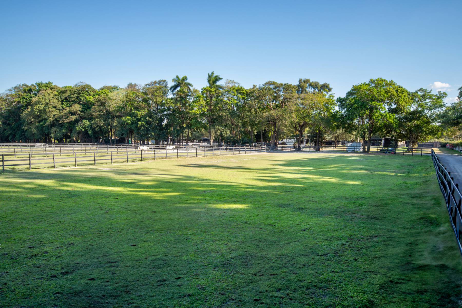 7 Large grass pastures