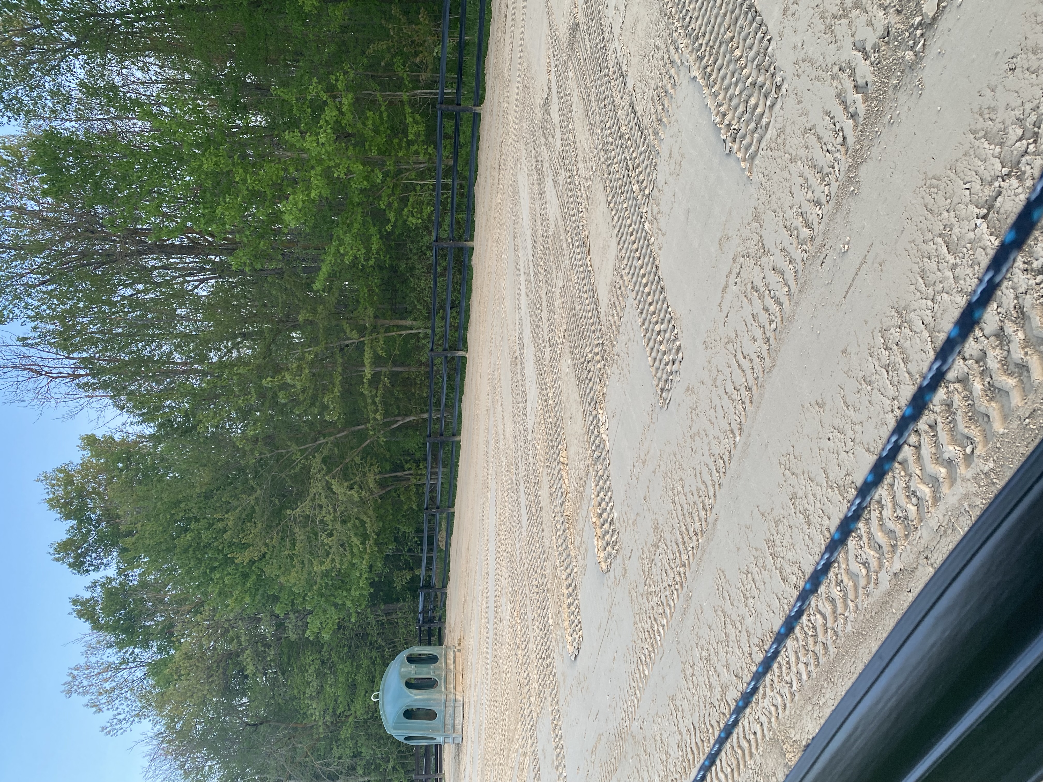 Sand sacrifice paddocks with fresh sand