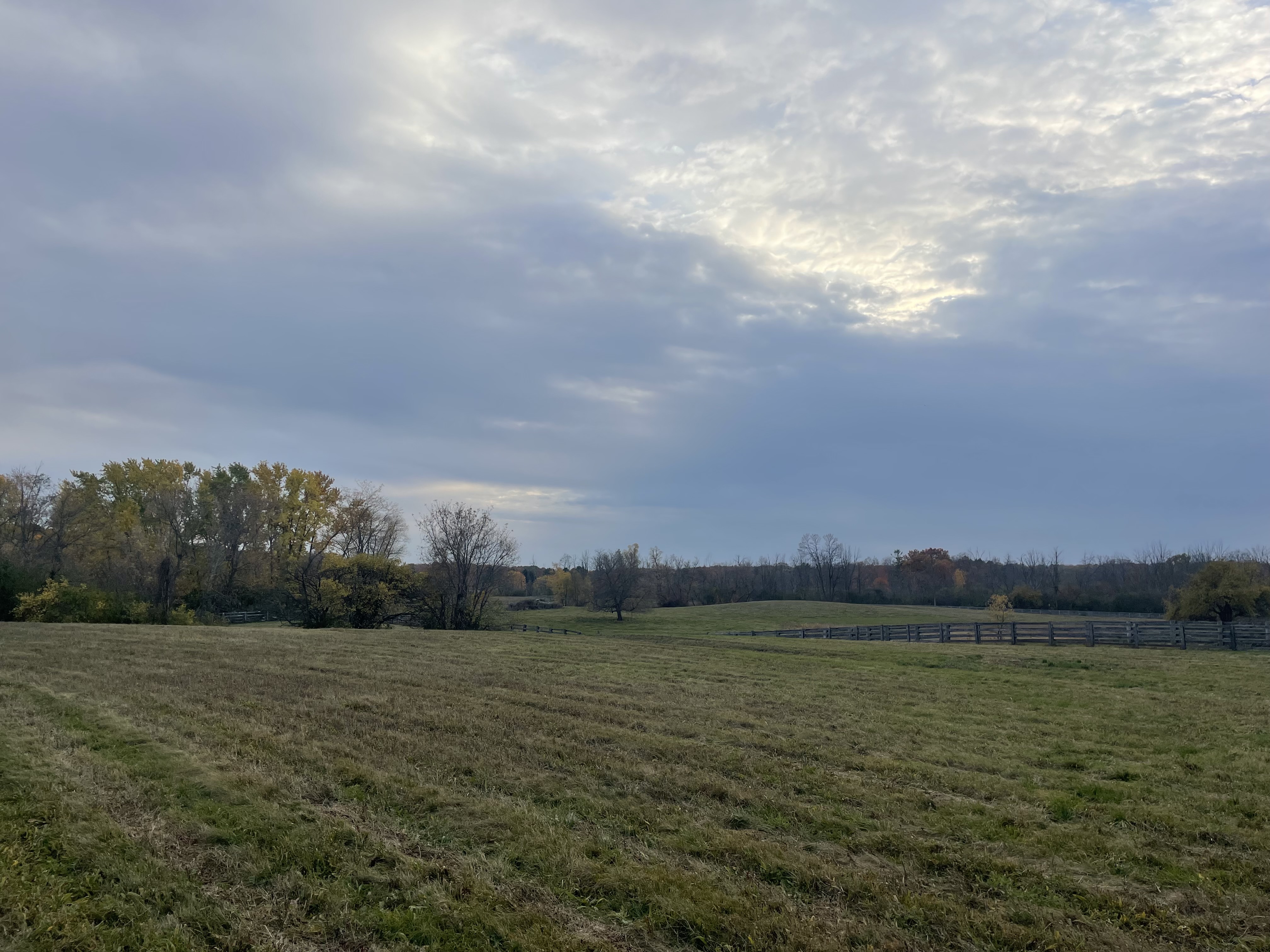 Old brickyard farm