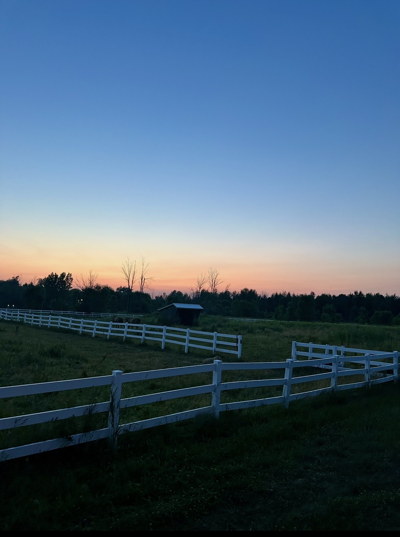 Large pastures with water and shelters