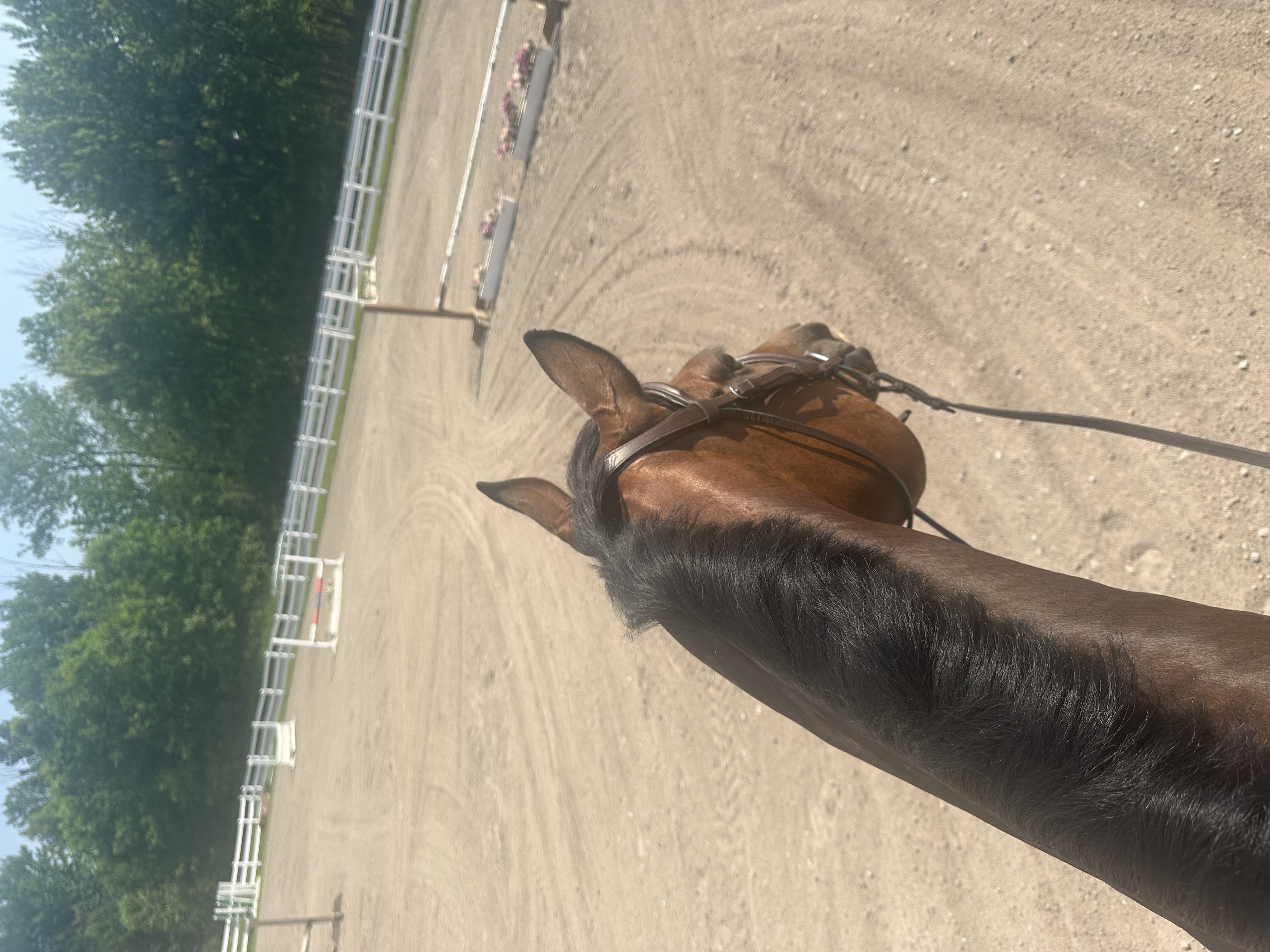 Outdoor arena