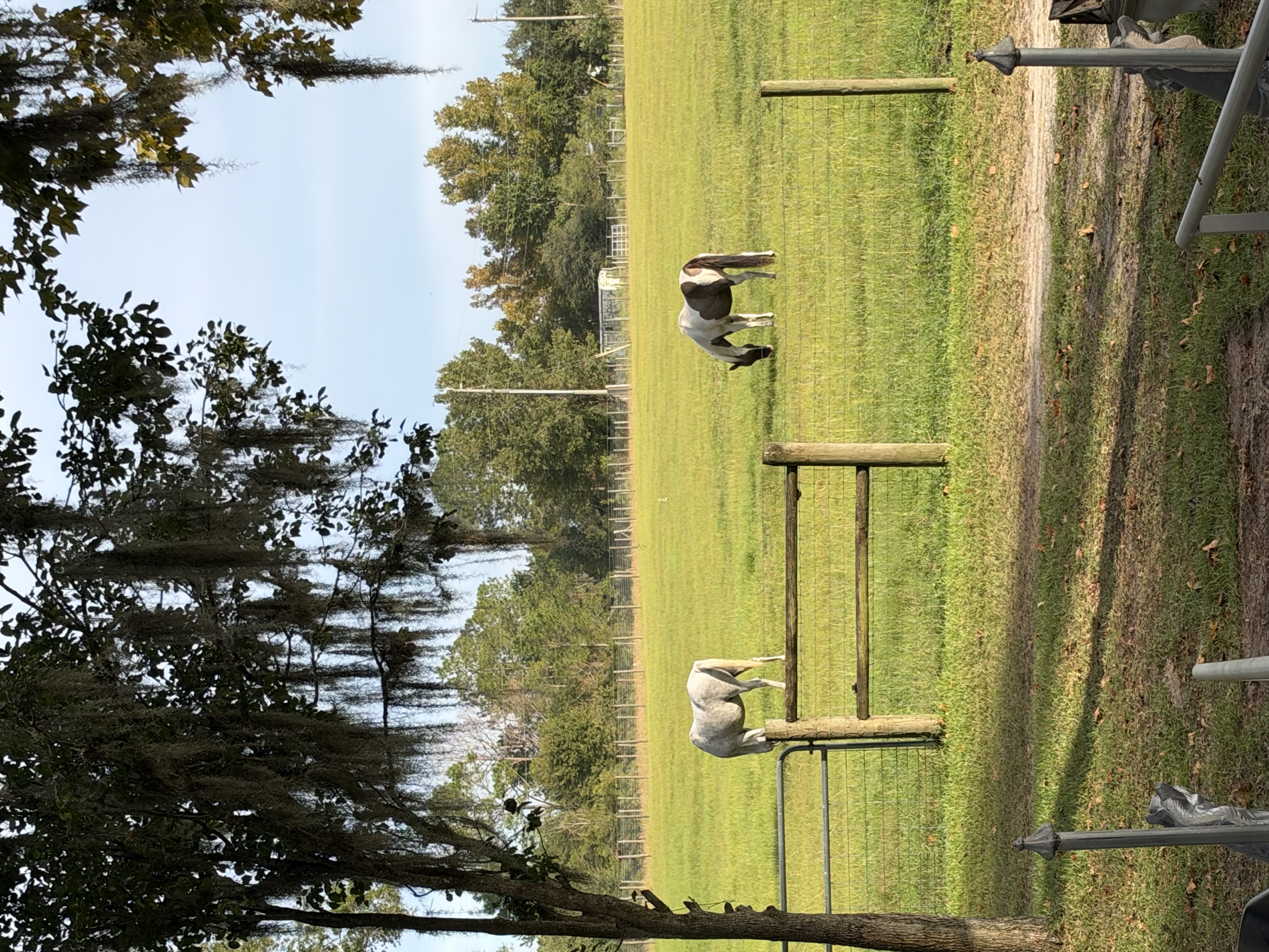 Front pasture