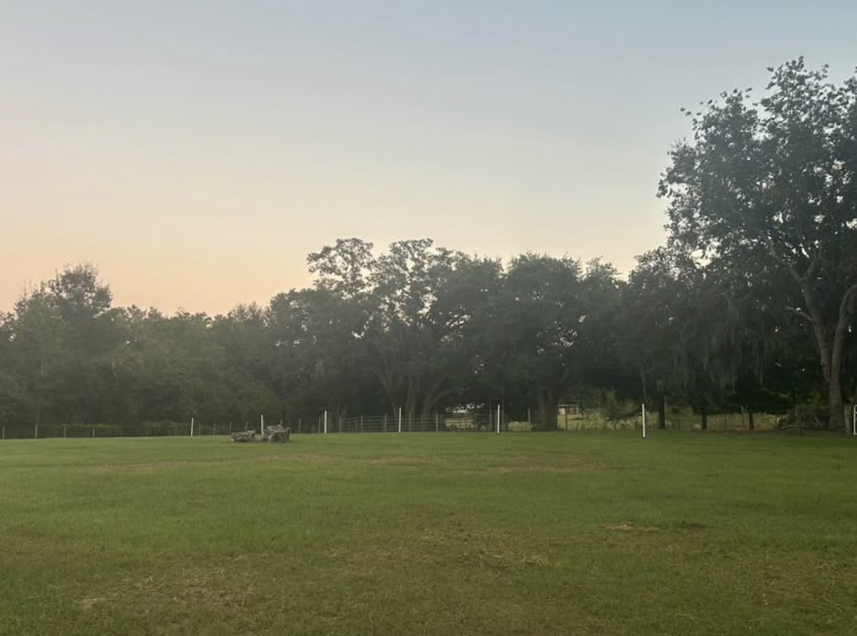 Pasture