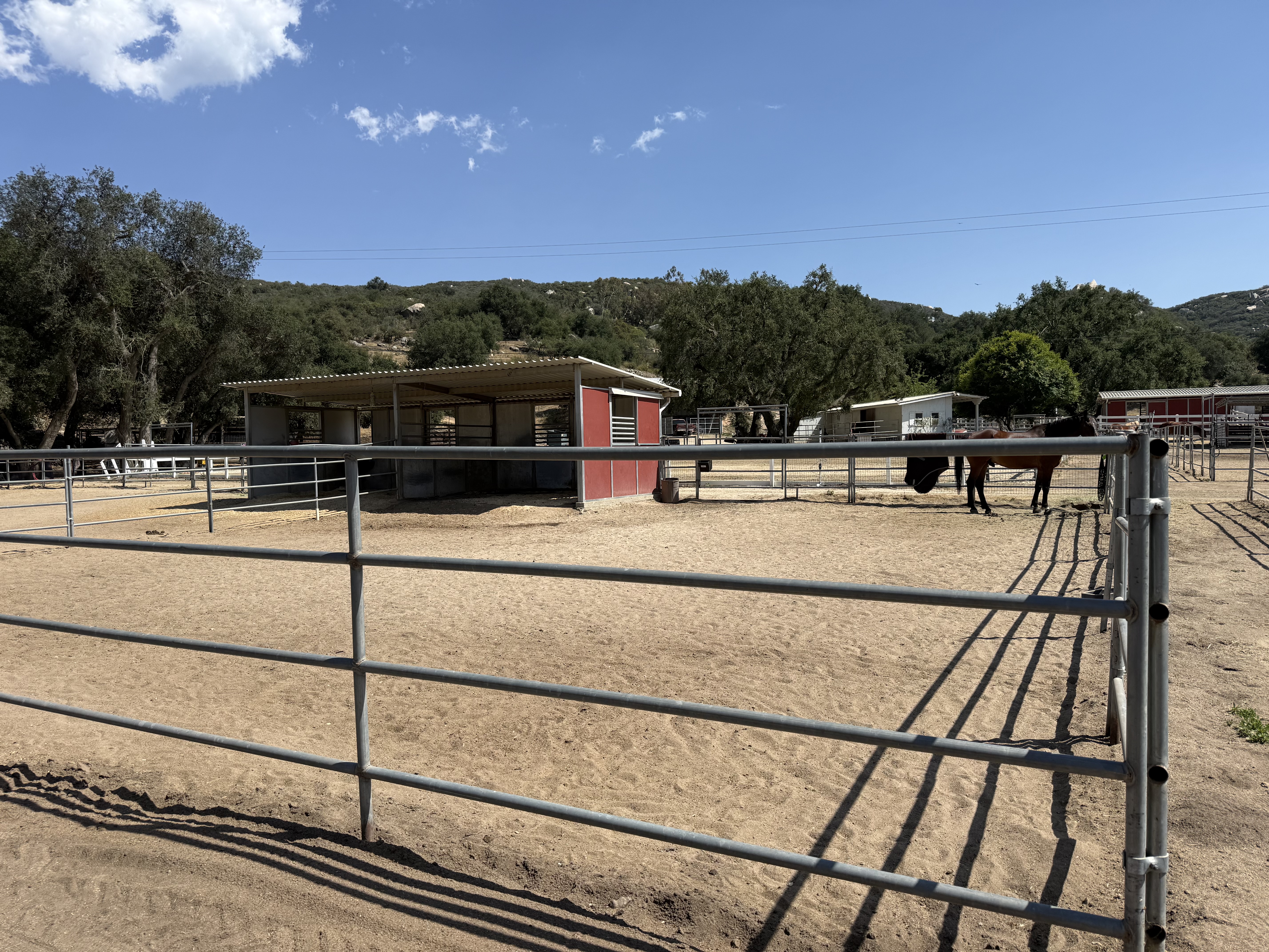 Mid pasture