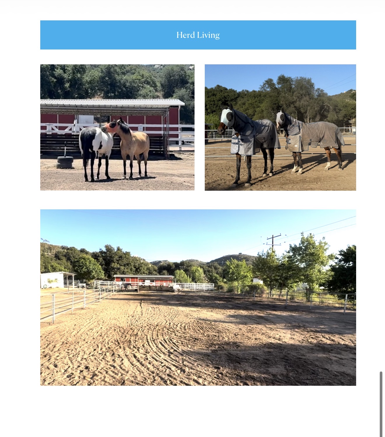 Small Herd Living