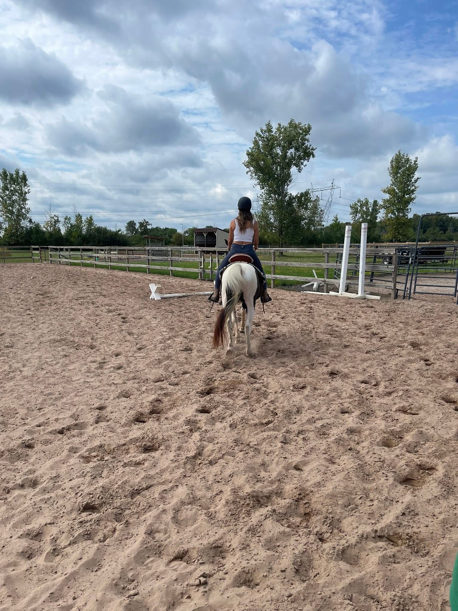 Arena