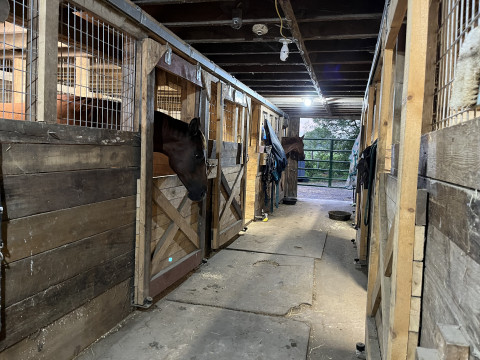 Inside barn view