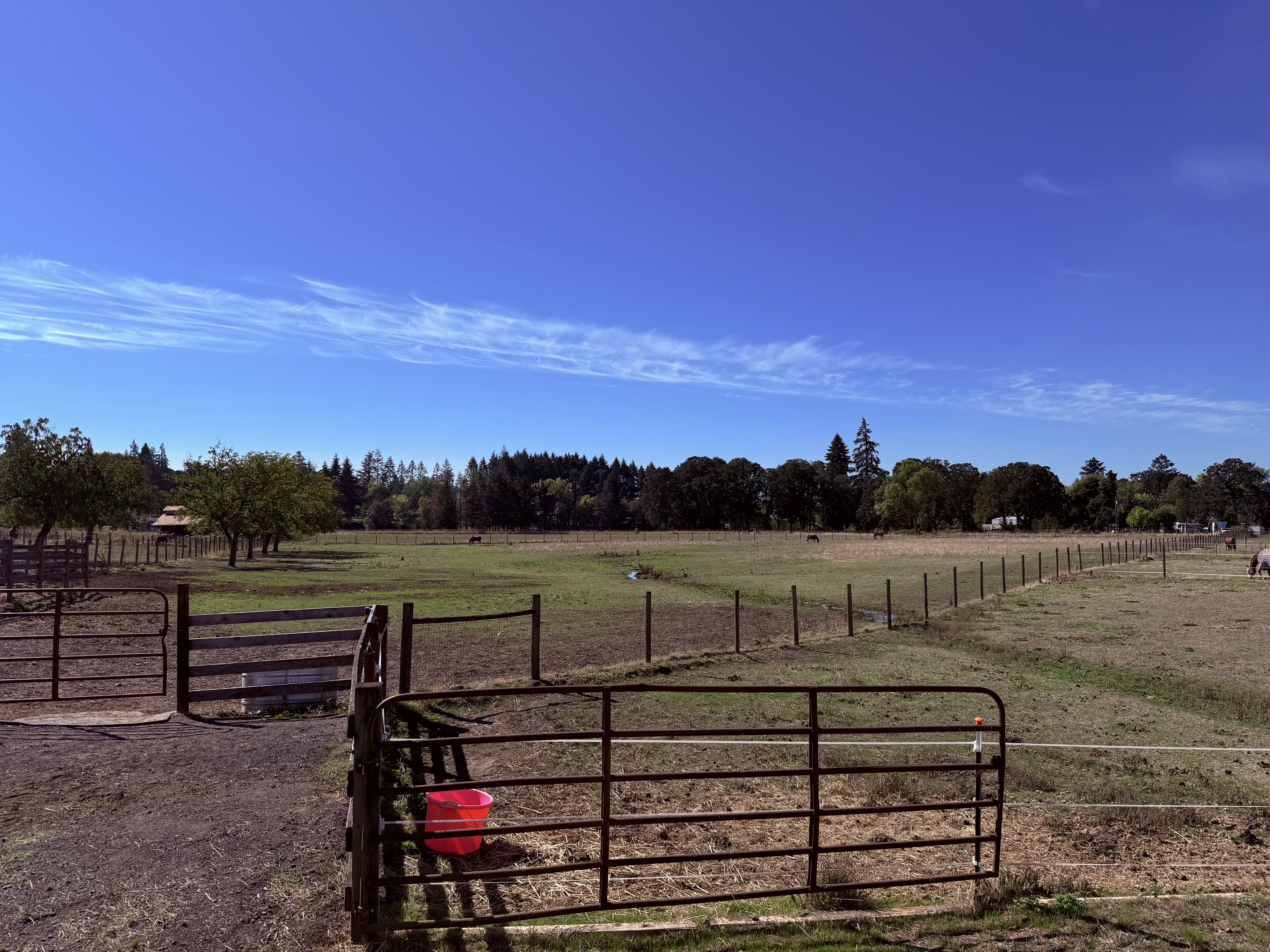 Pastures
