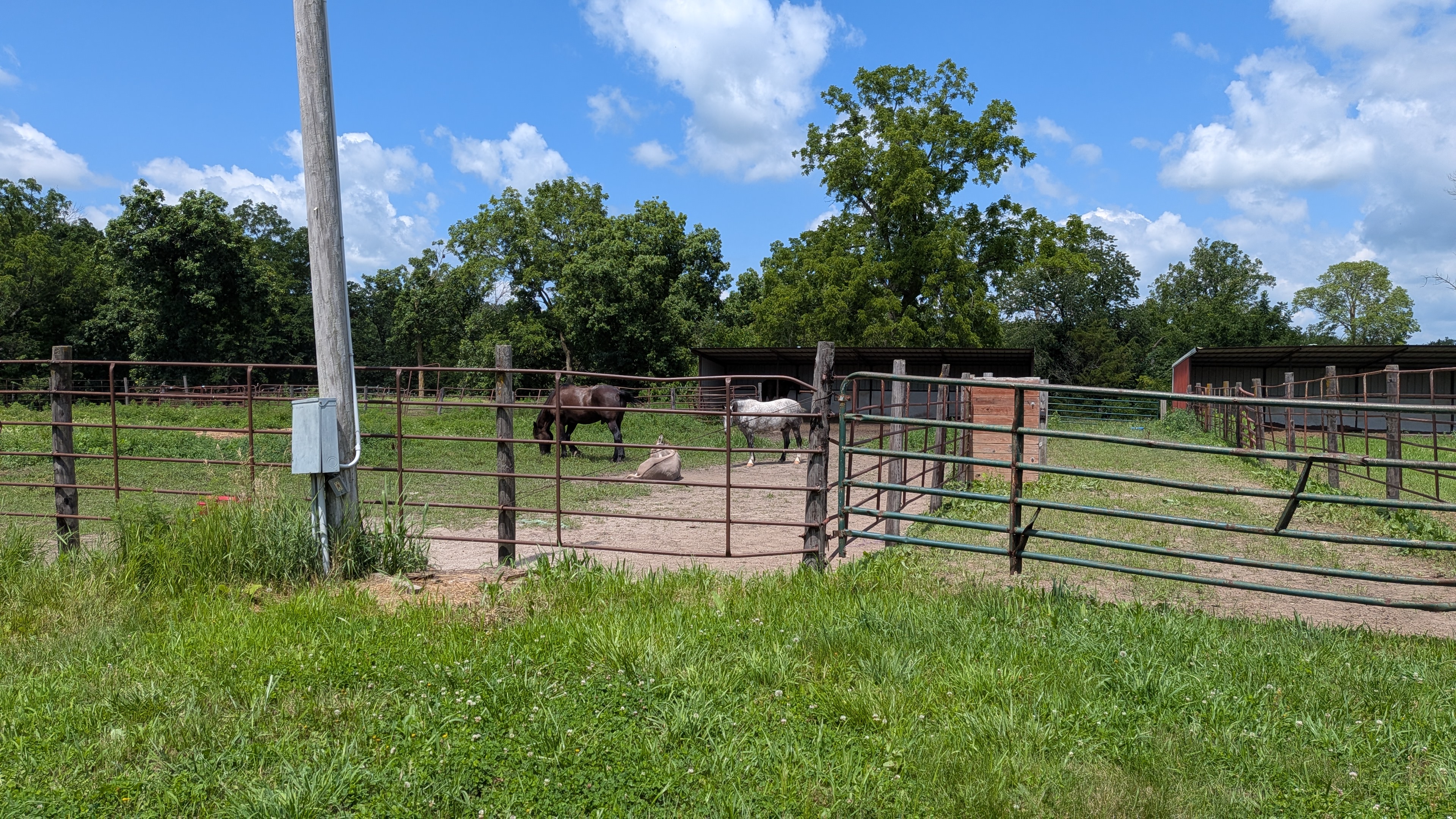 Smaller paddocks