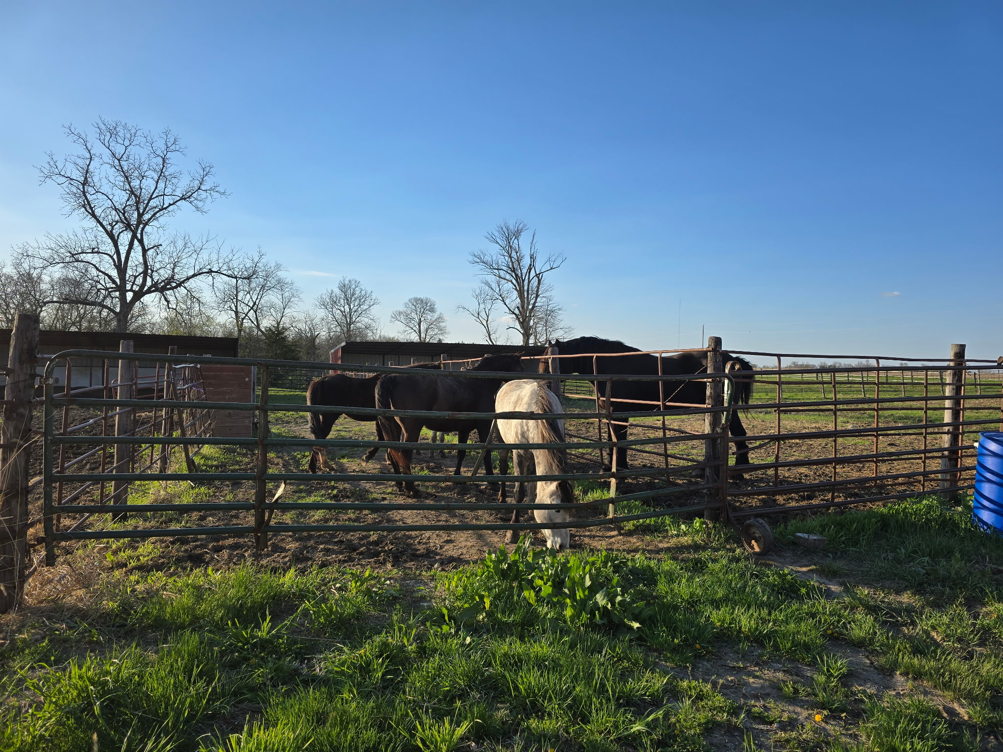 Multiple pastures, some large, some small