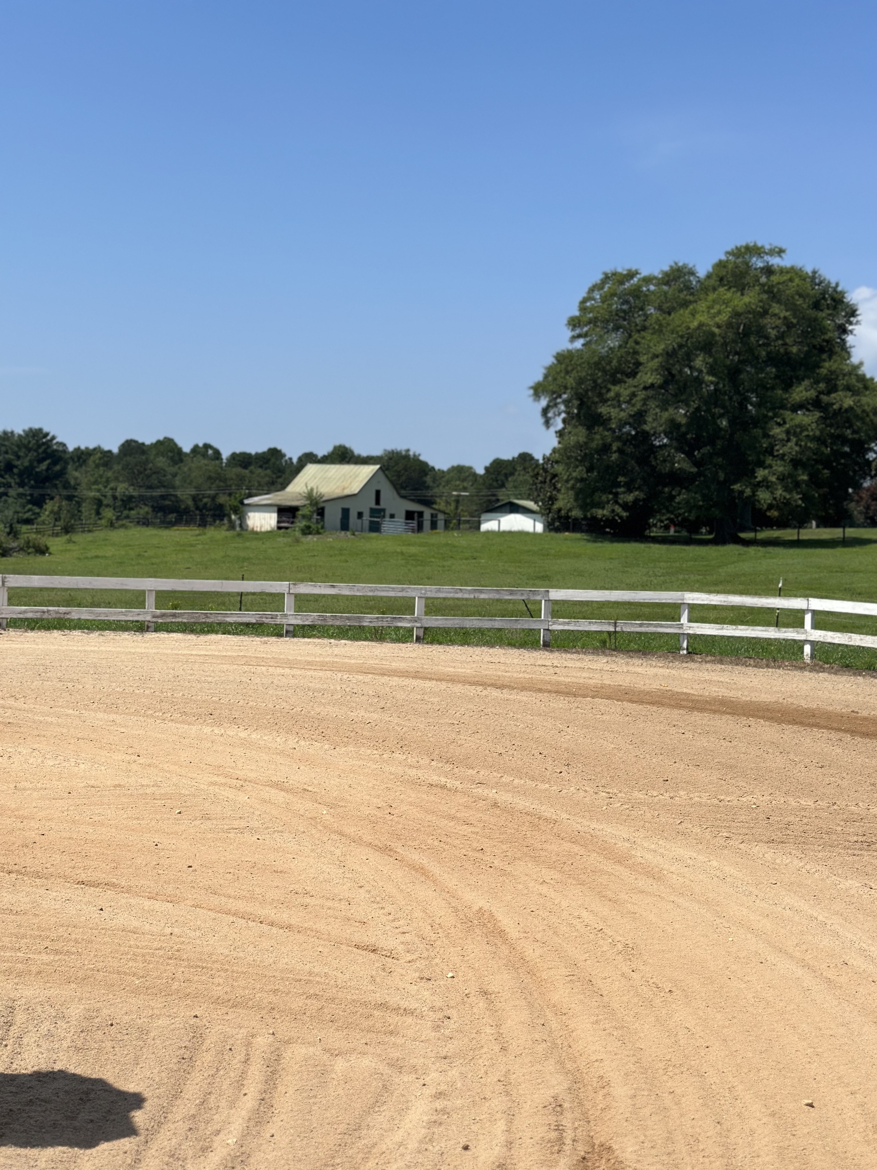Bottom arena