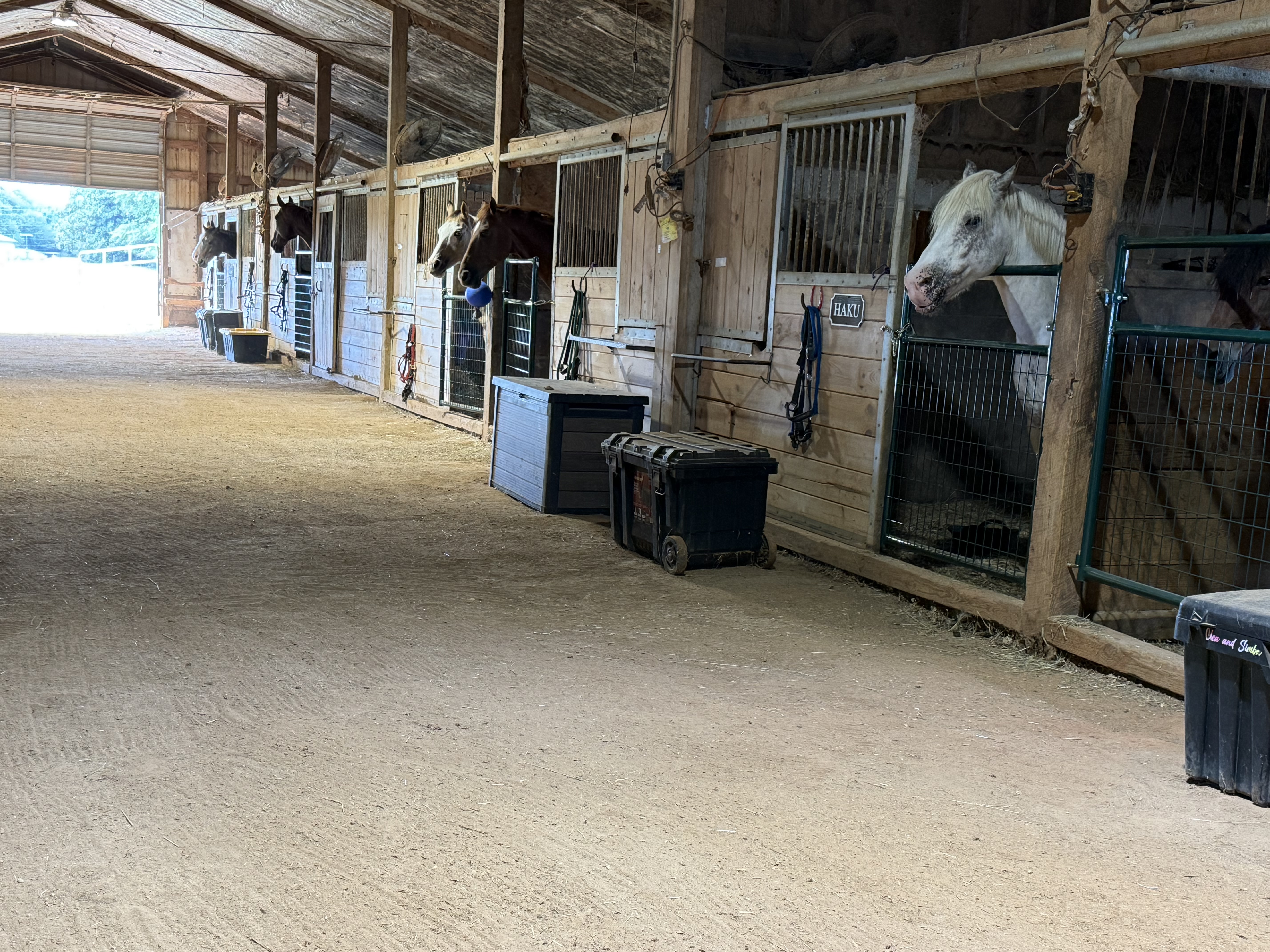 Barn