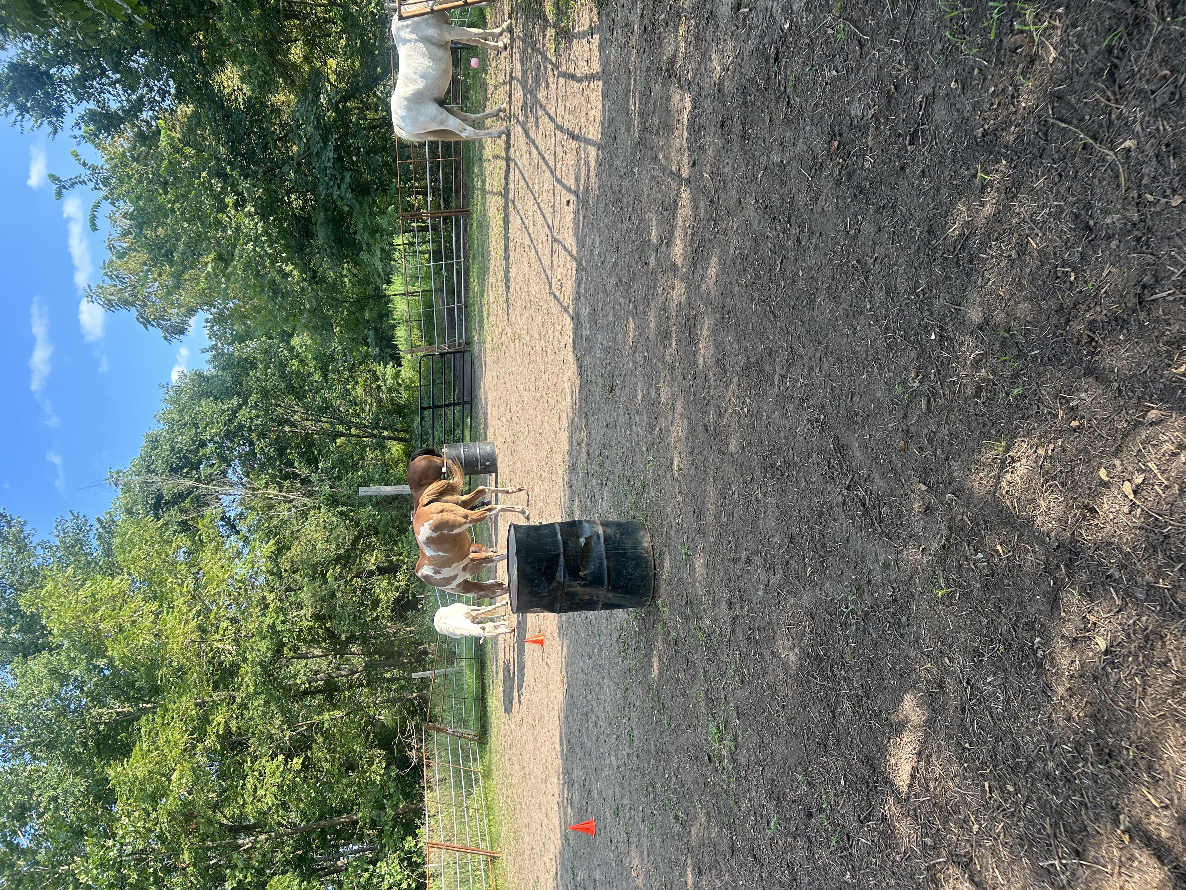 Outdoor 40’ x 80’ arena