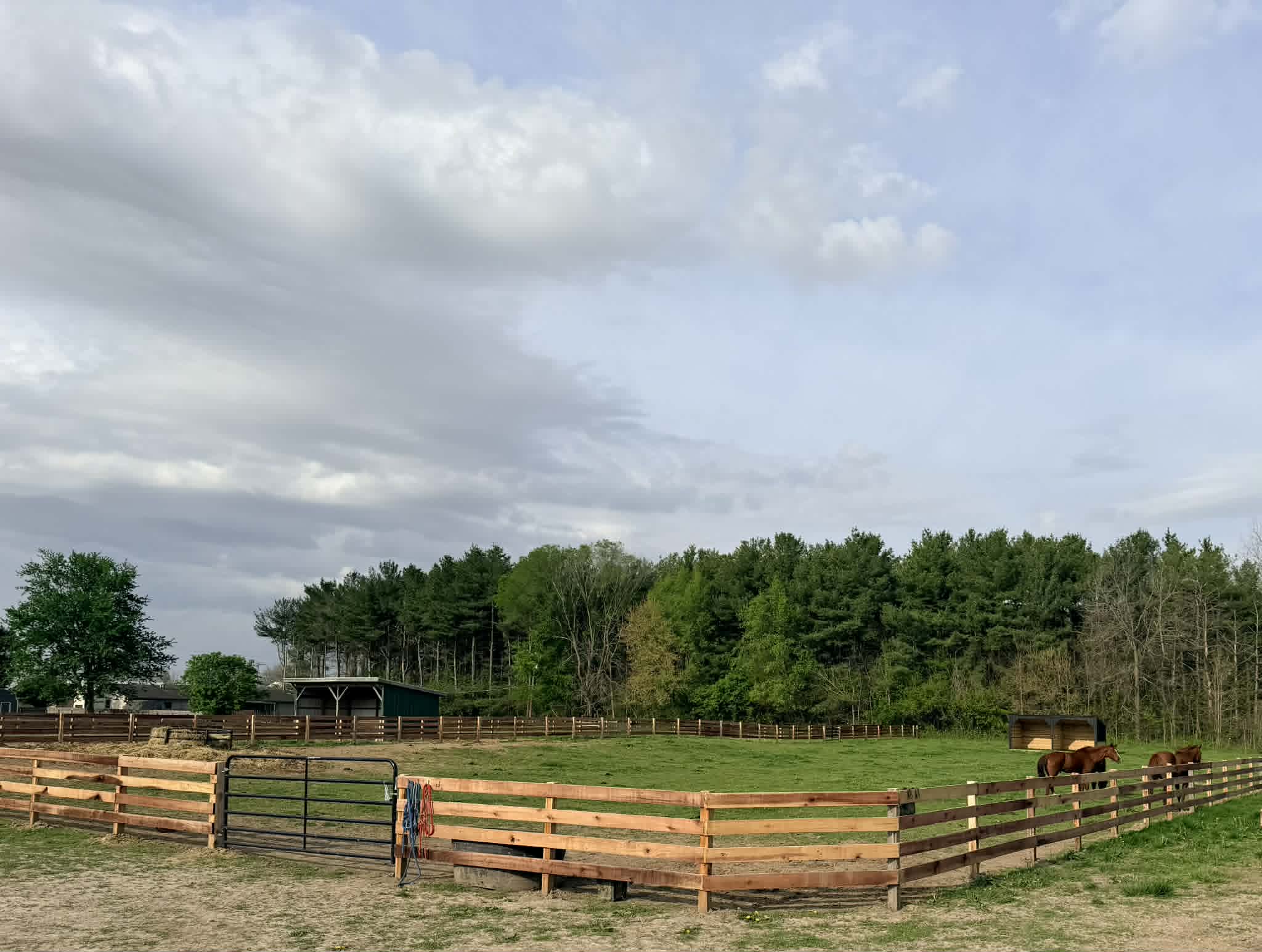 Pasture