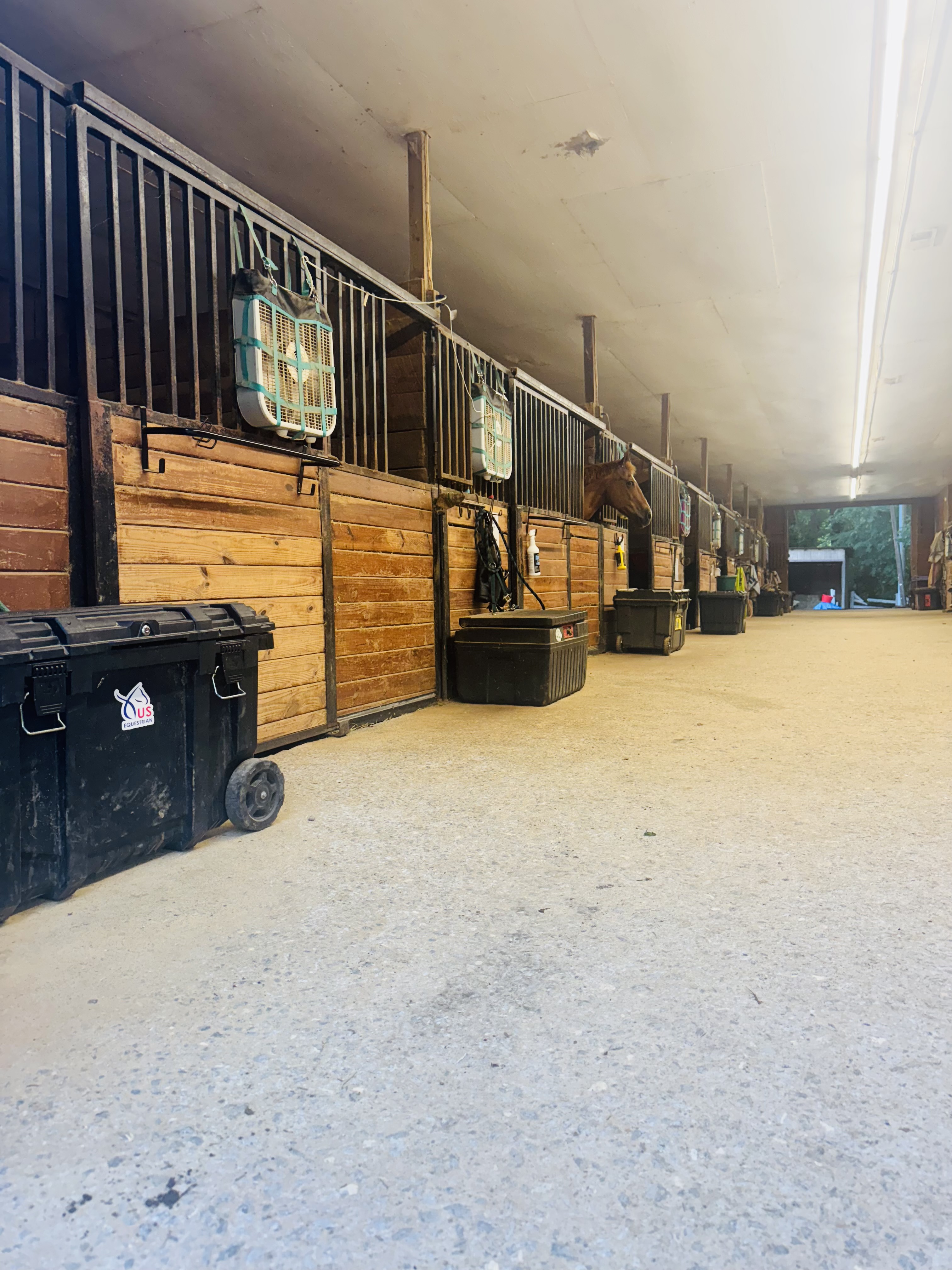 Inside our barn