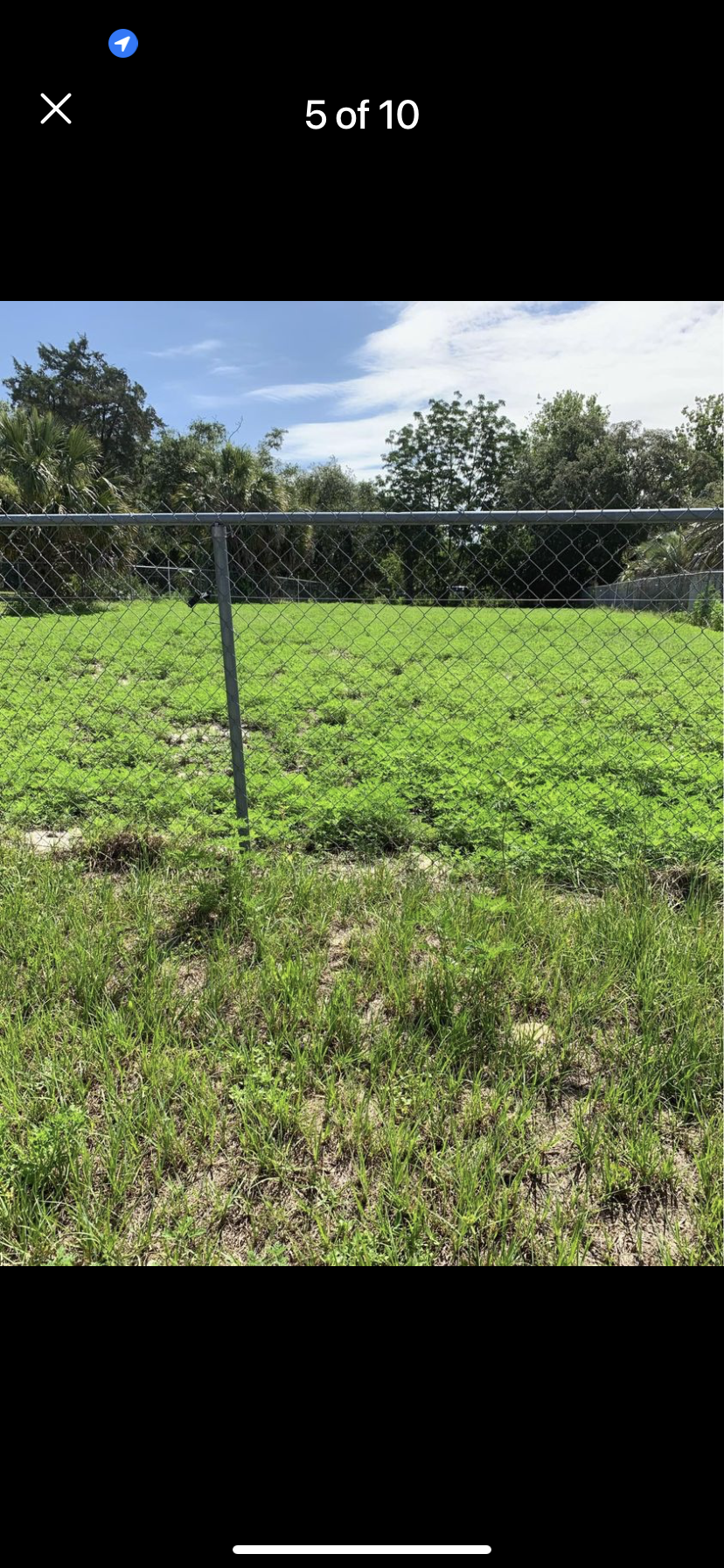 Pasture
