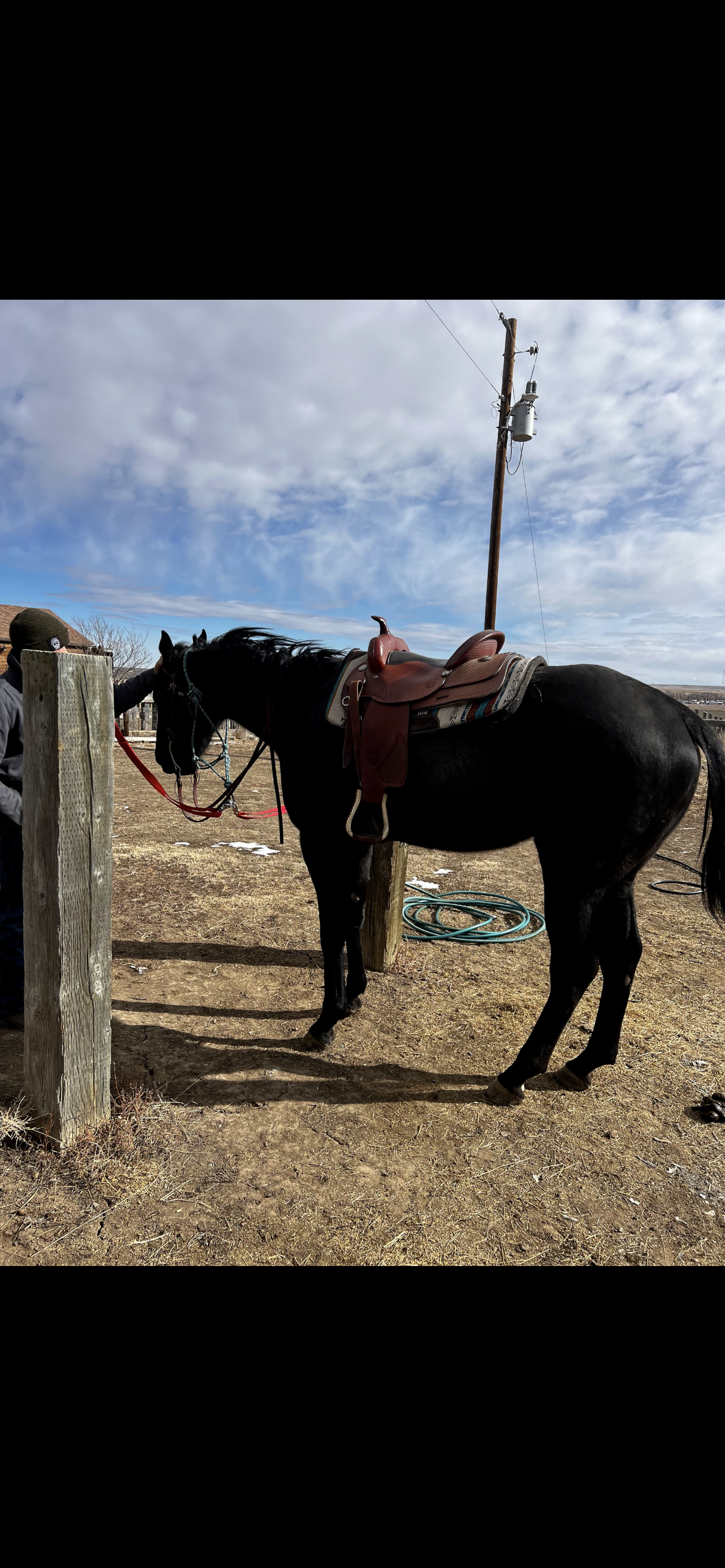 Cross ties and rubber mats added for tack up and wash rack