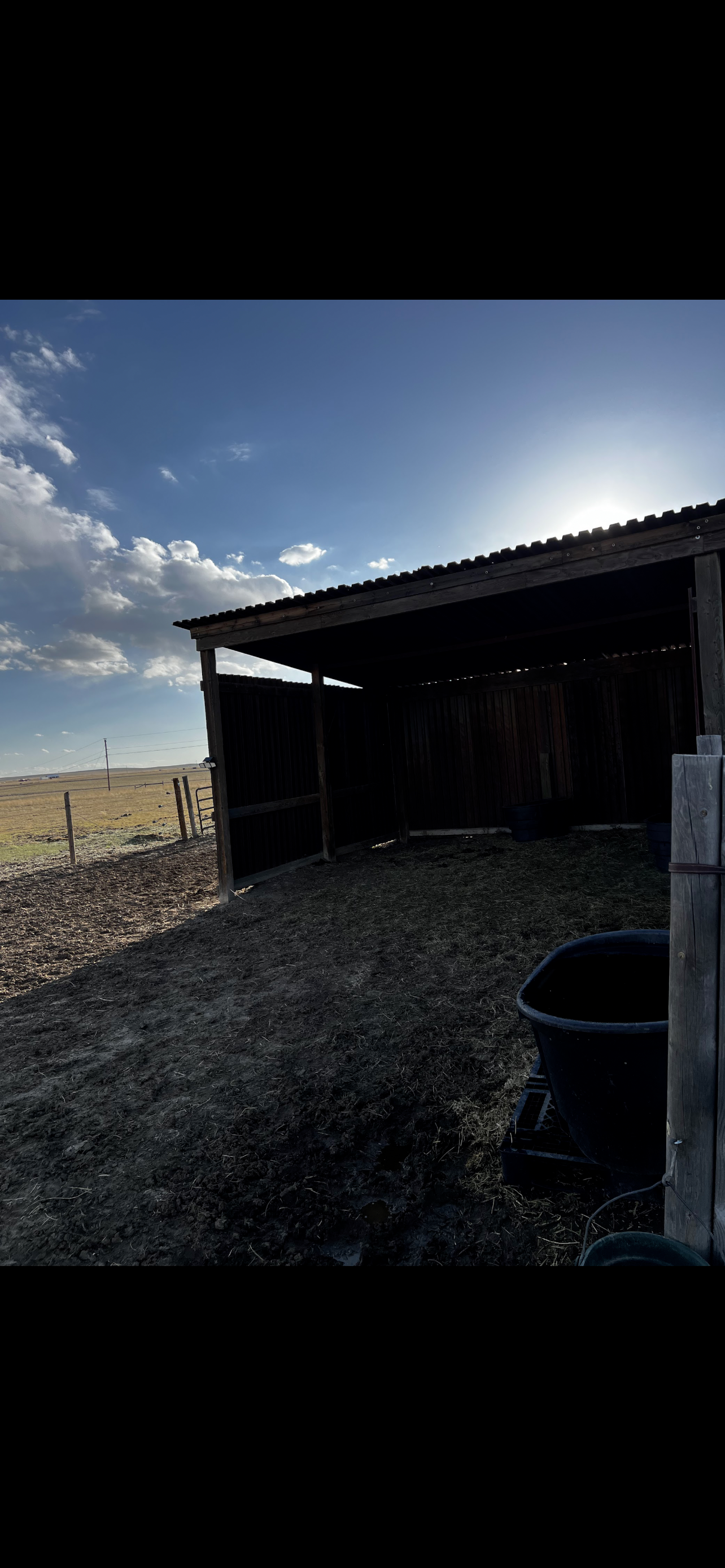 Extra large run in for multiple horses or can be split to create paddock living!