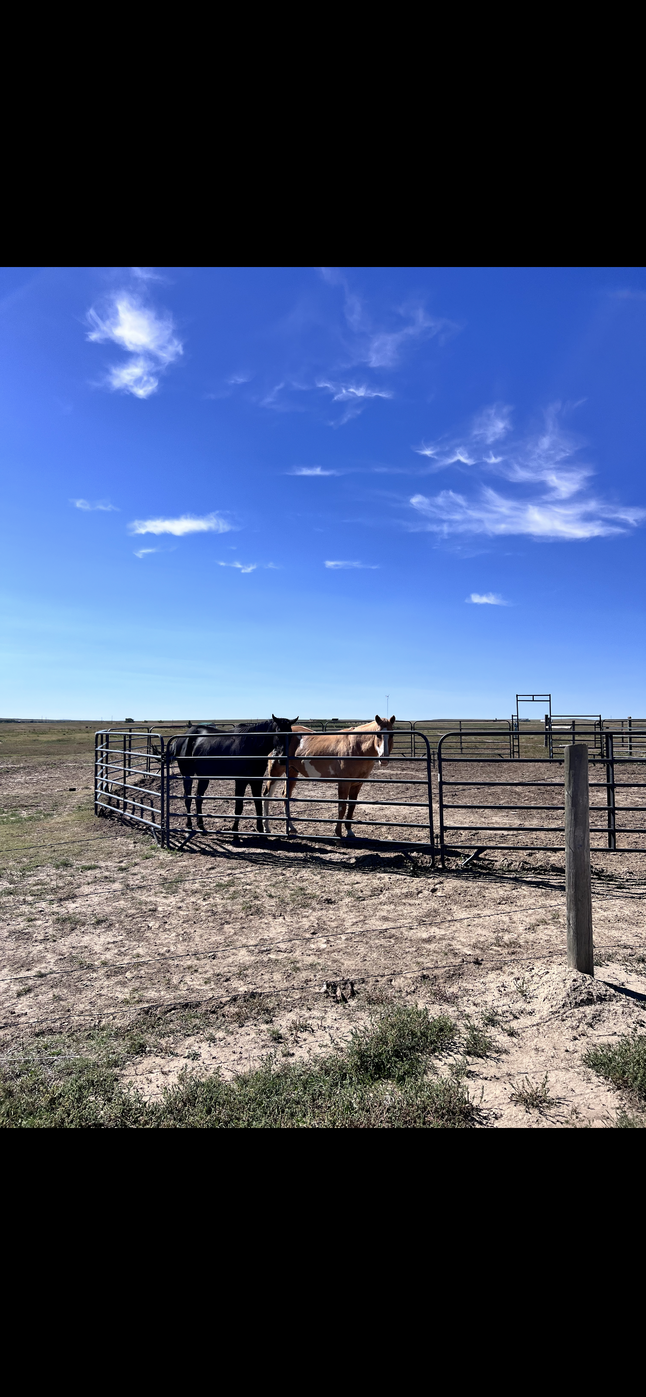 60 ft round pen