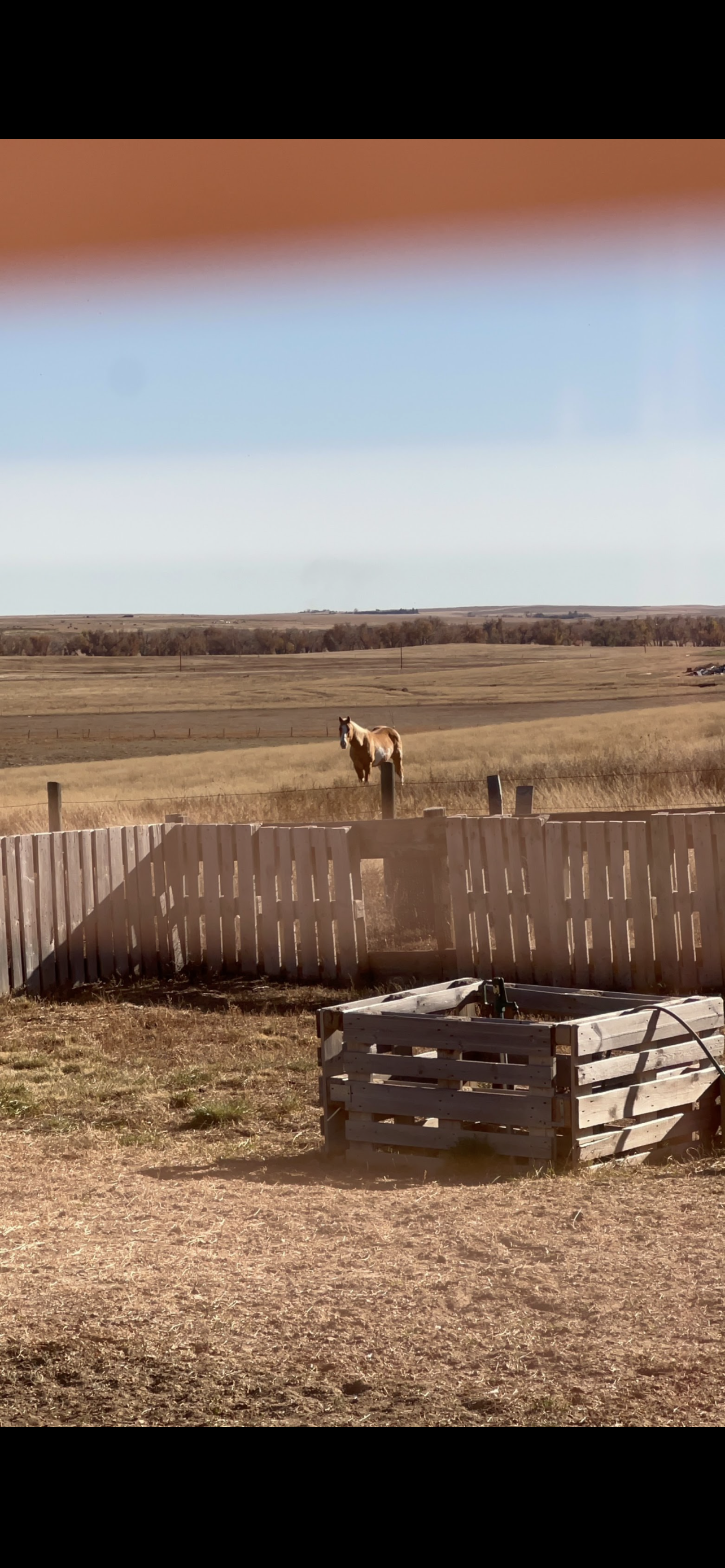 Your horses will love you for giving them the space to be horses!
