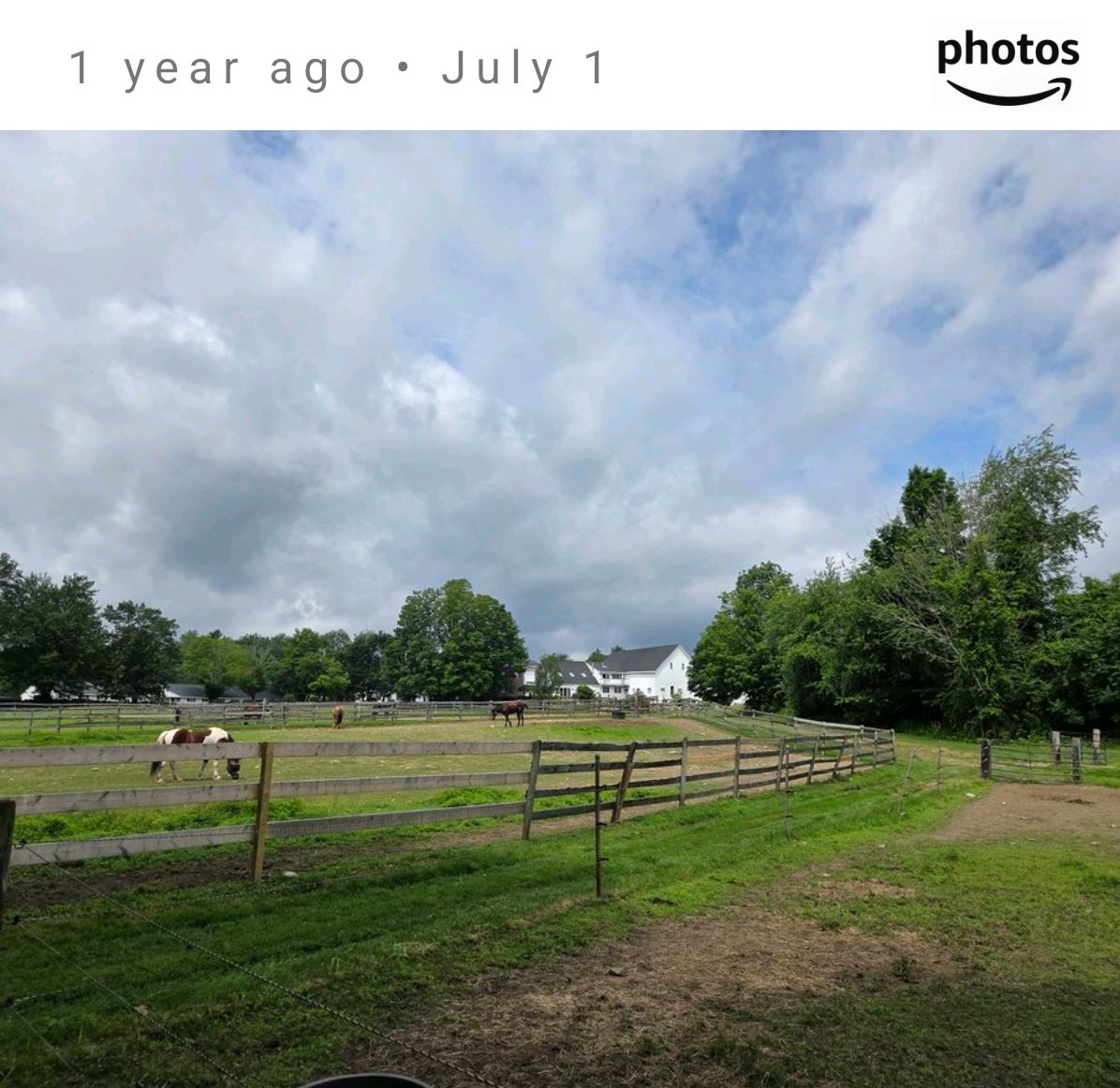 Looking toward the barn from the back paddocks