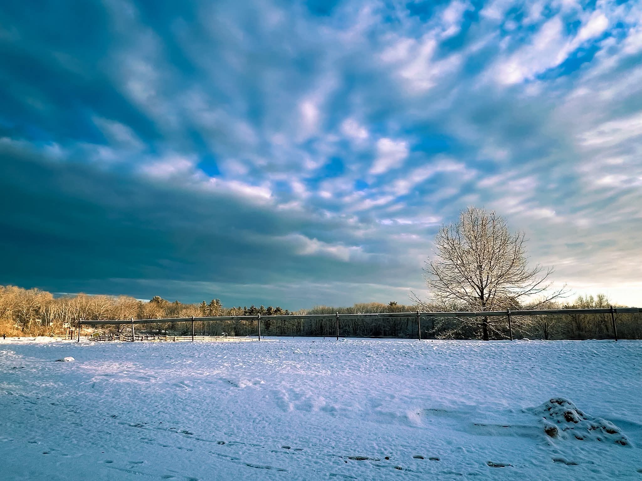 We are thankful every day for the beauty, peace, and happiness this farm has blessed us with