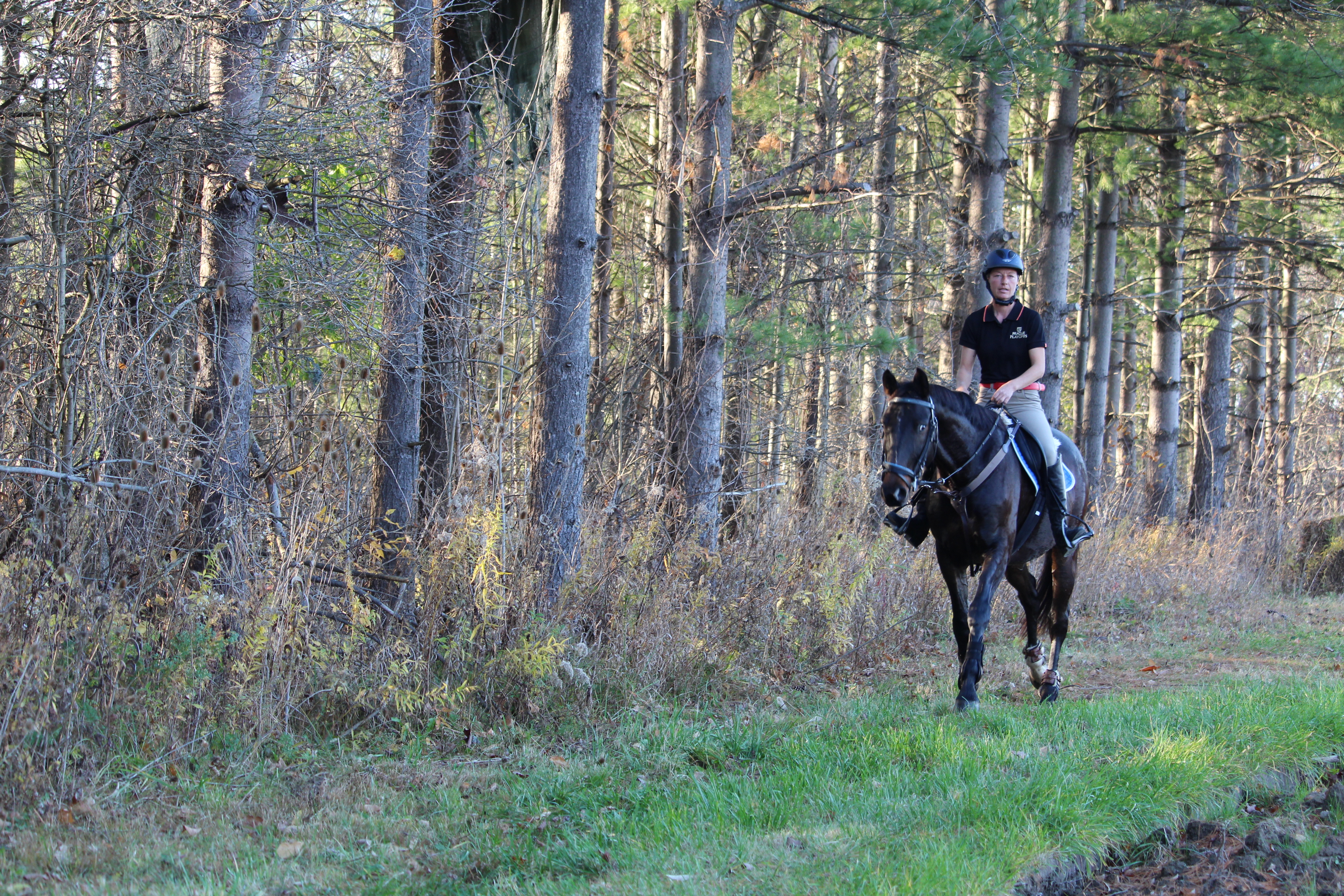 trails on property