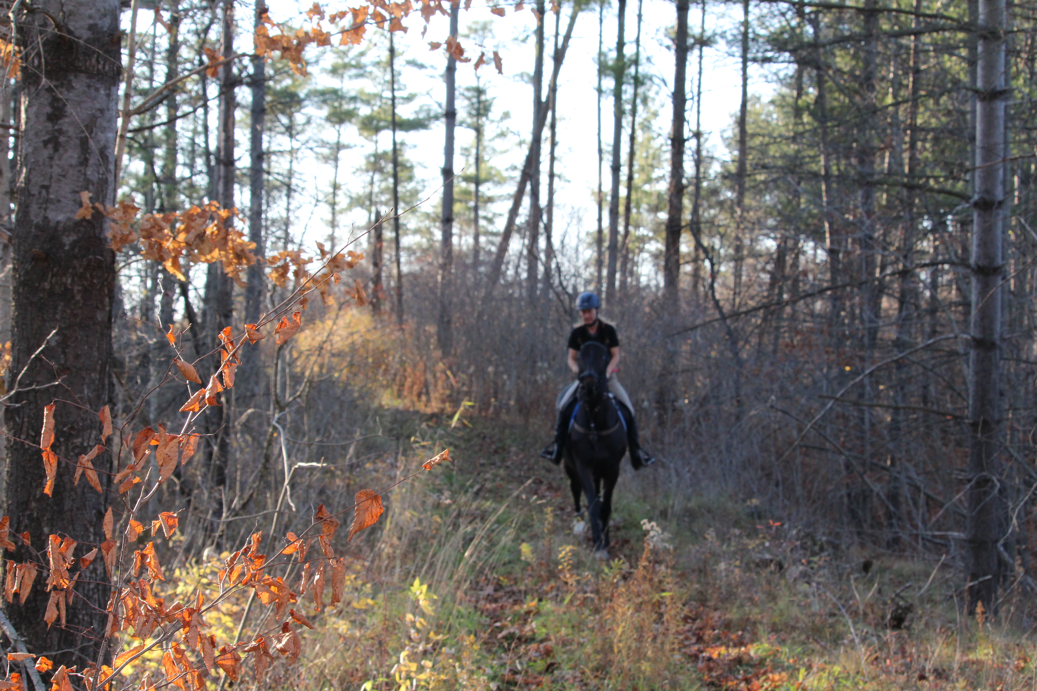 trails on property