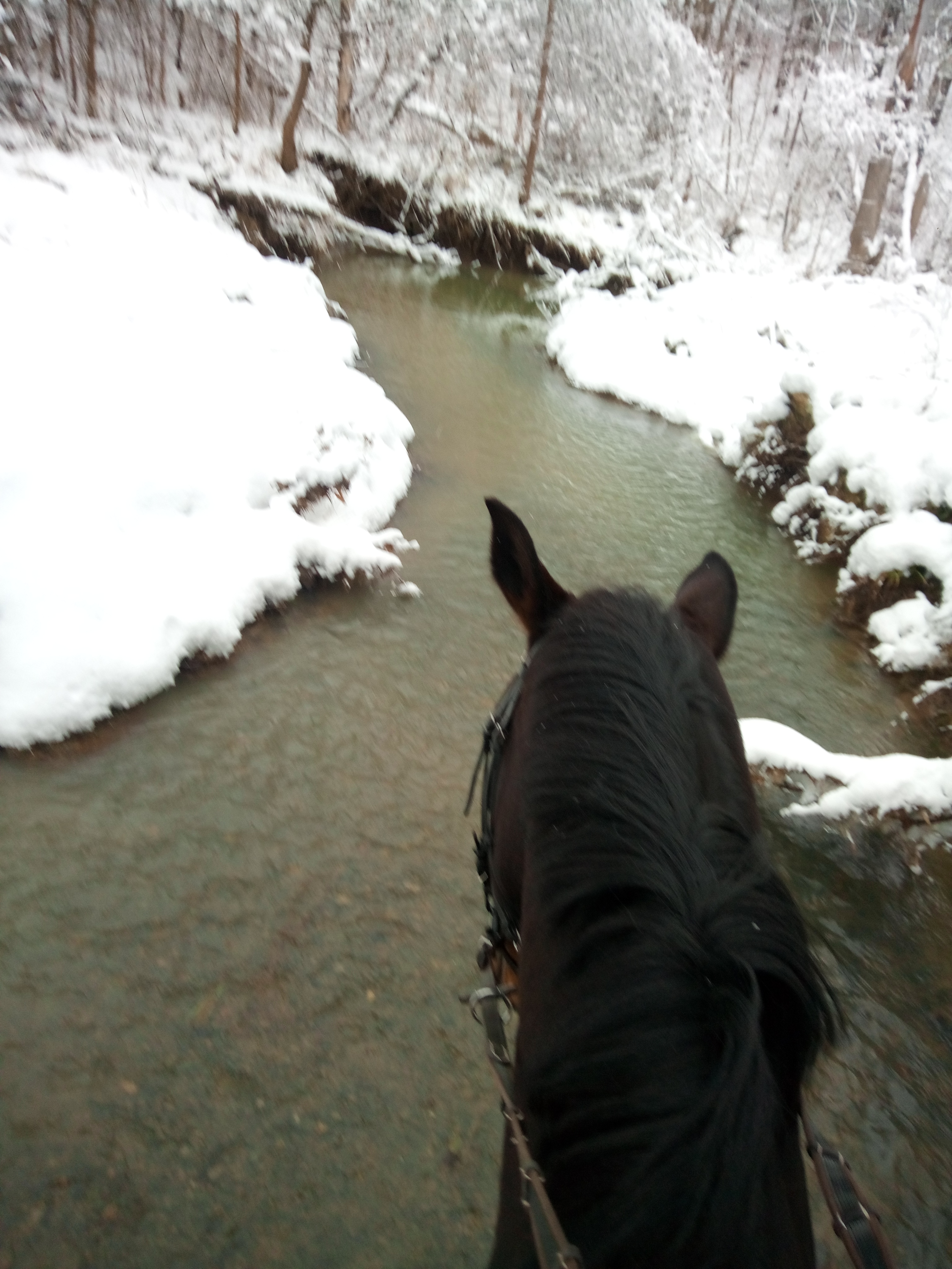 trails on property