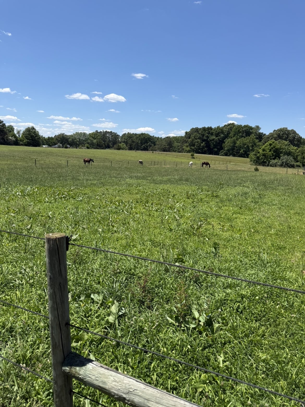 Fields
