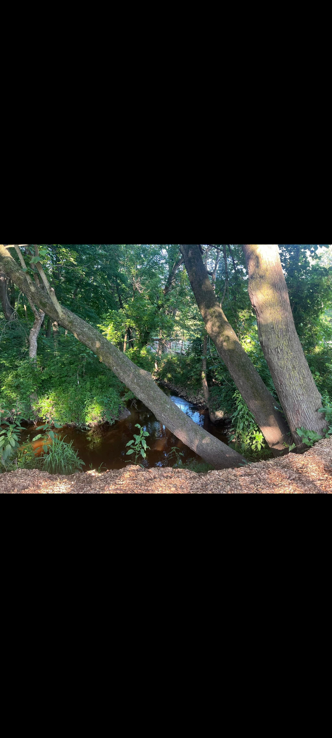 Access to the creek
