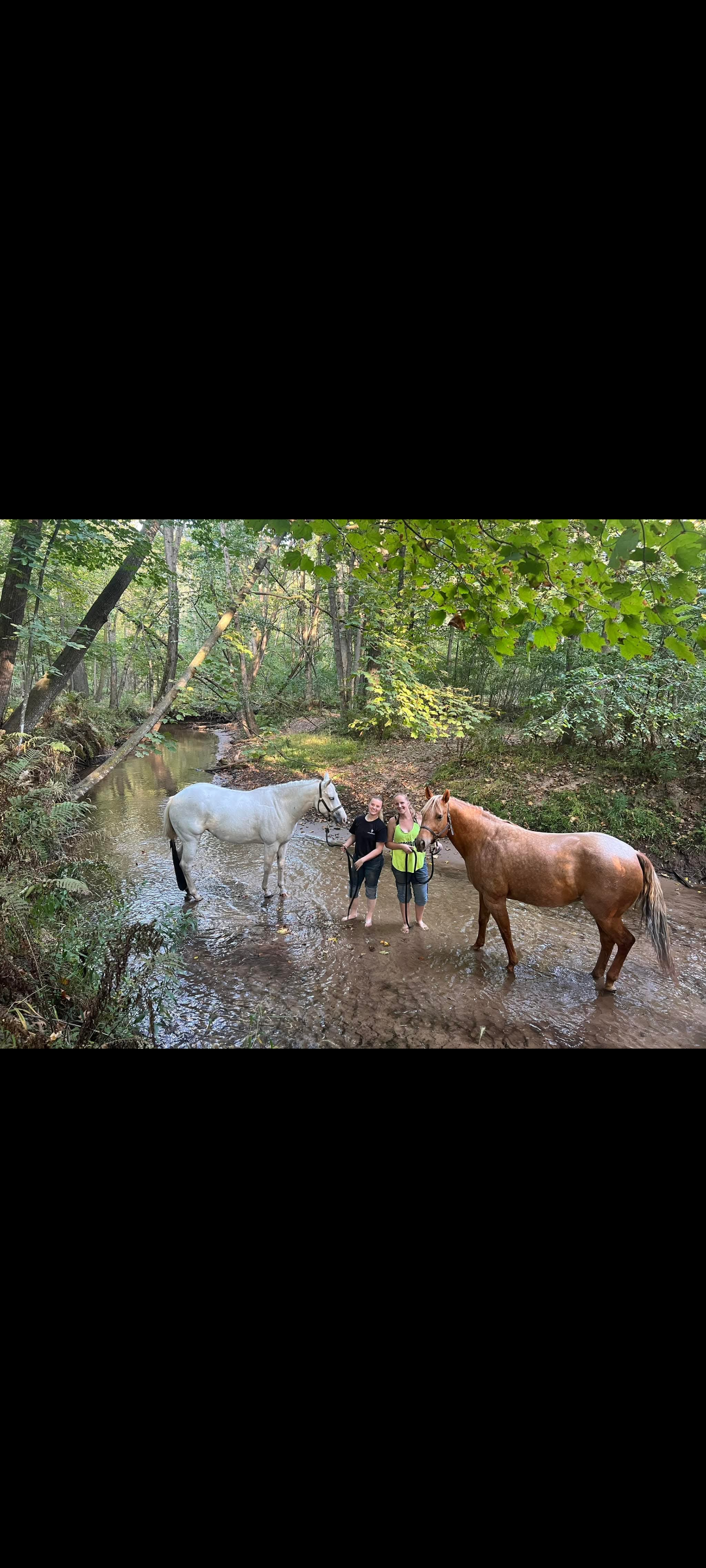 Fun in the creek