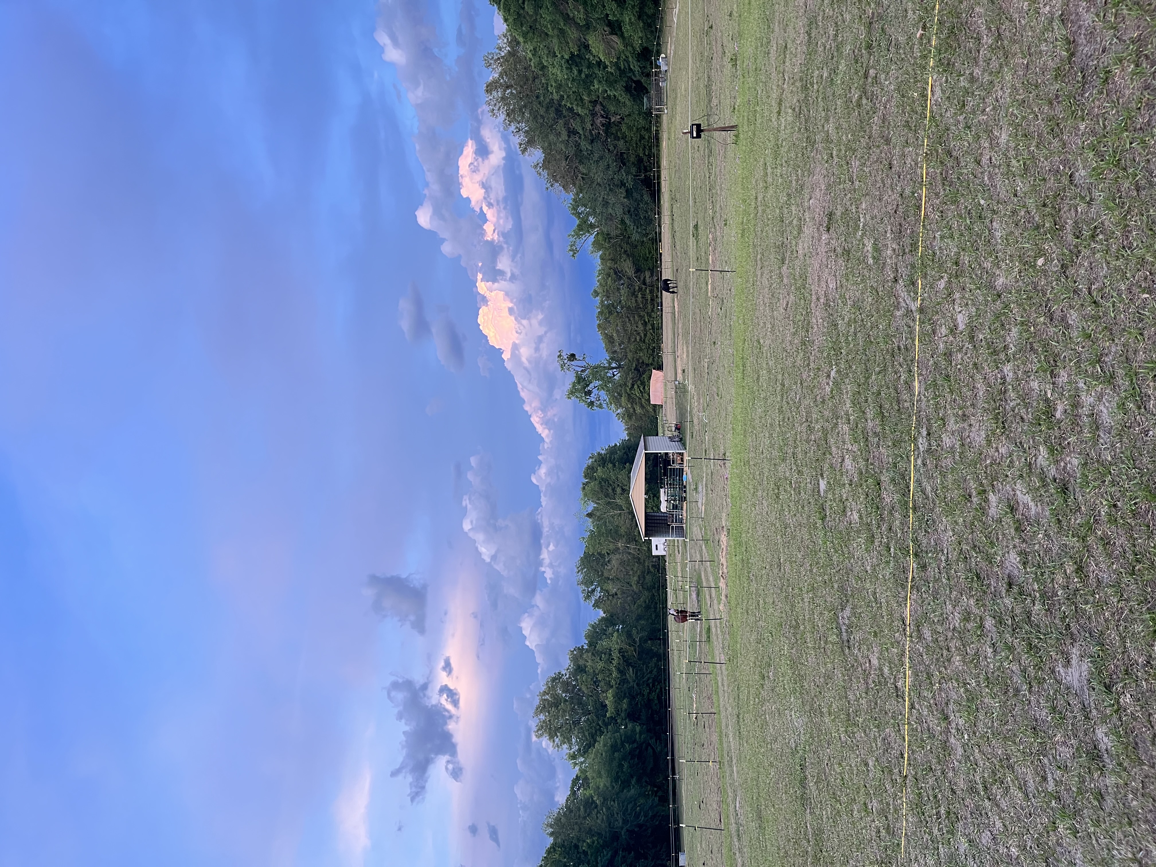 Our barn stands in the middle of all four paddocks for easy access. All horses visible from my house