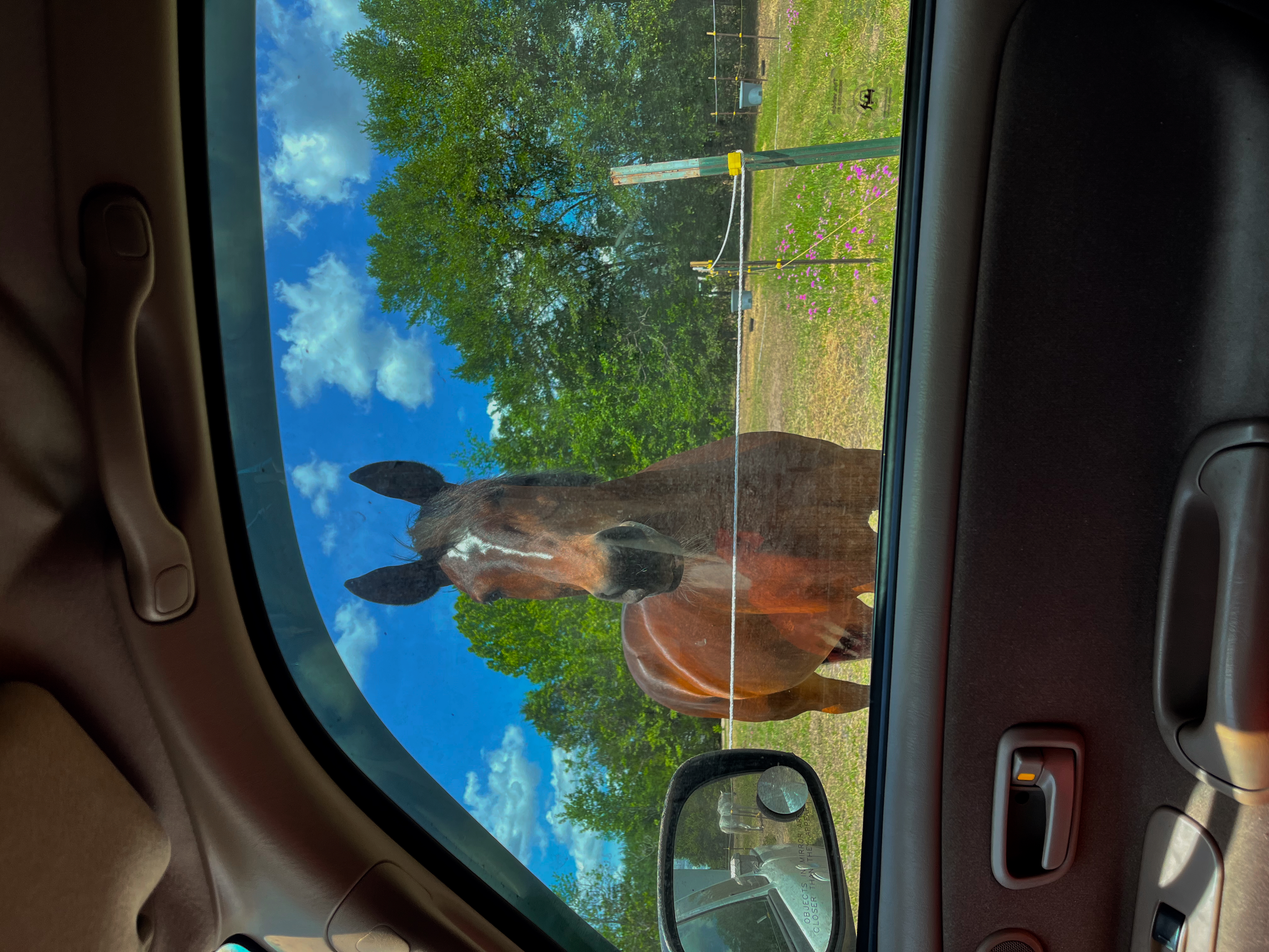 We aren’t happy unless the horses are!